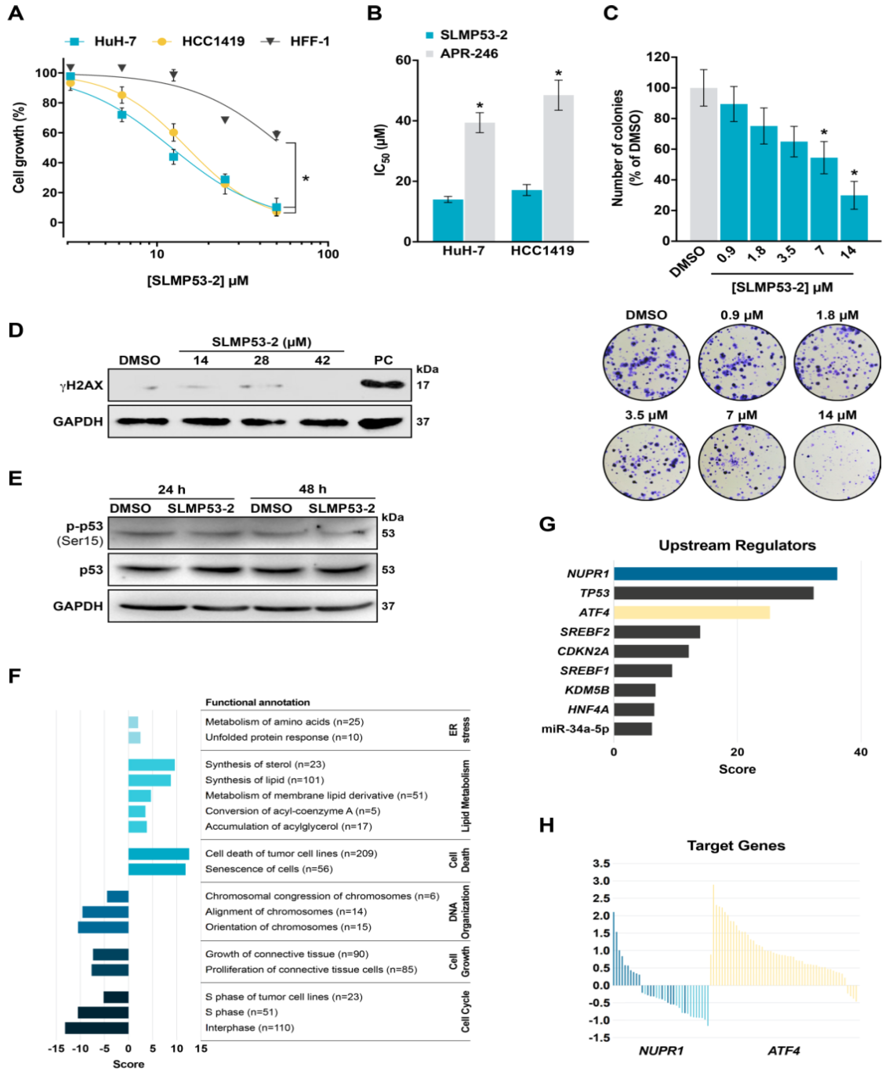 Cancers 11 01151 g002