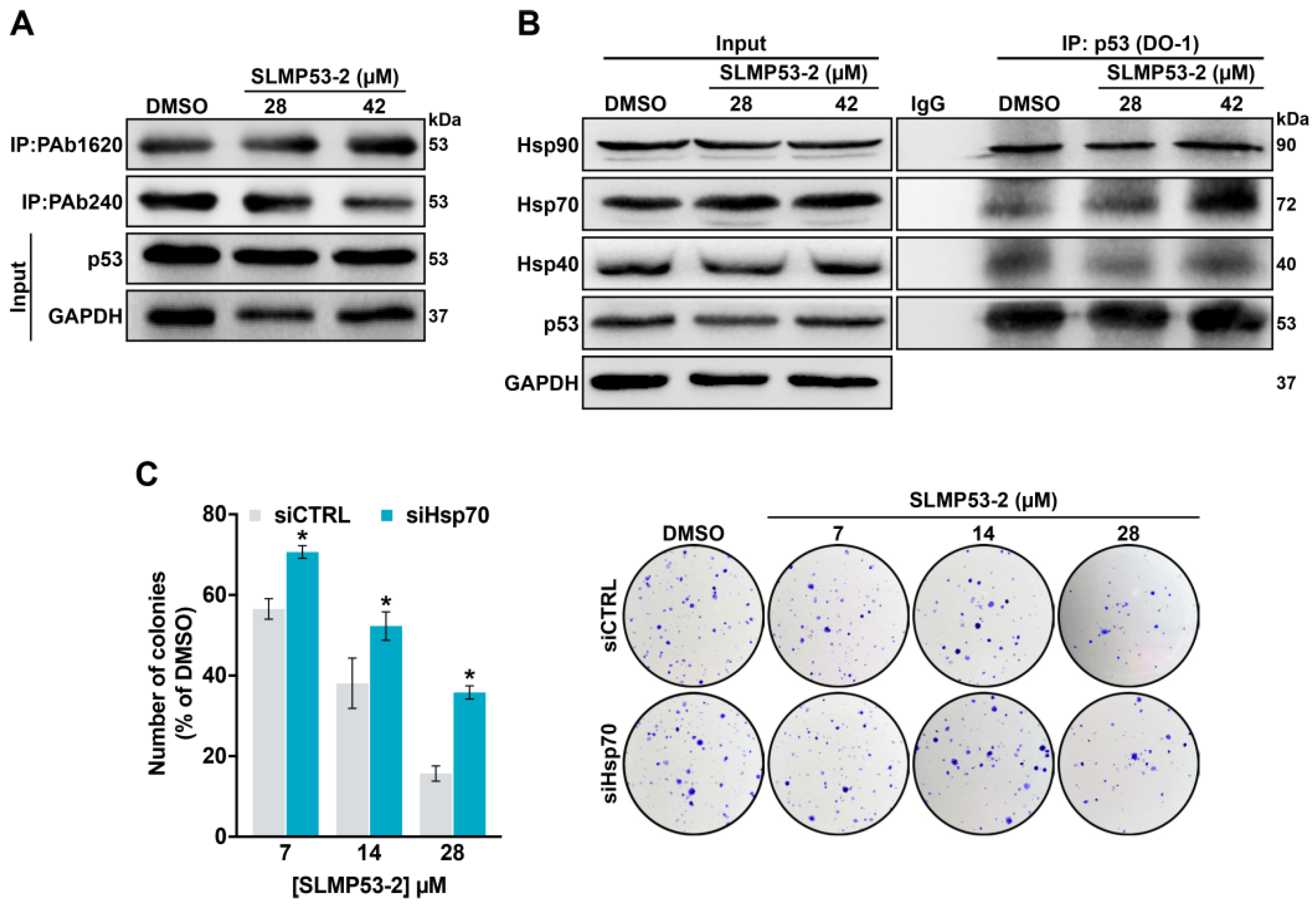 Cancers 11 01151 g005