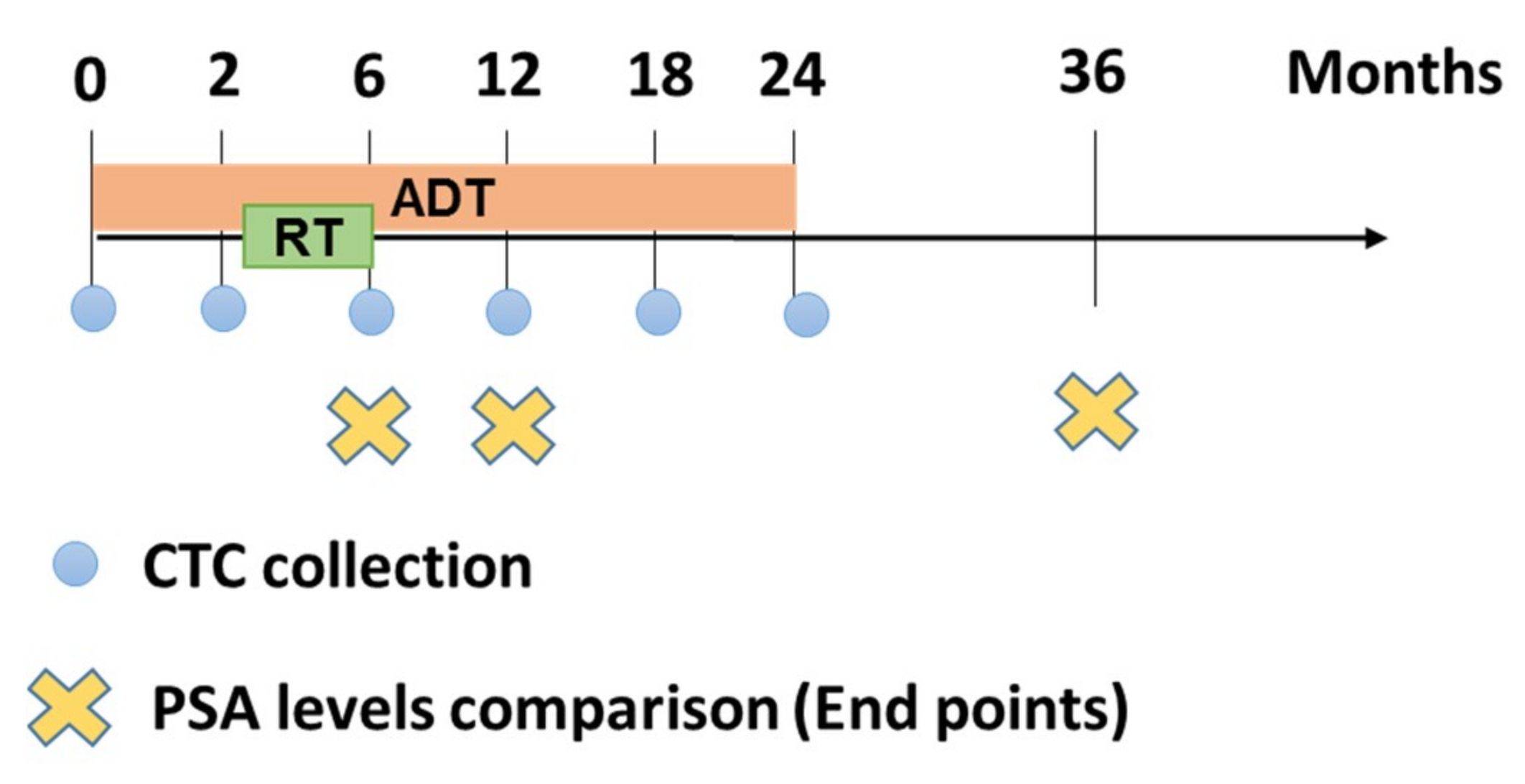 Cancers 11 01165 g001 Cancers 11 01165 g001