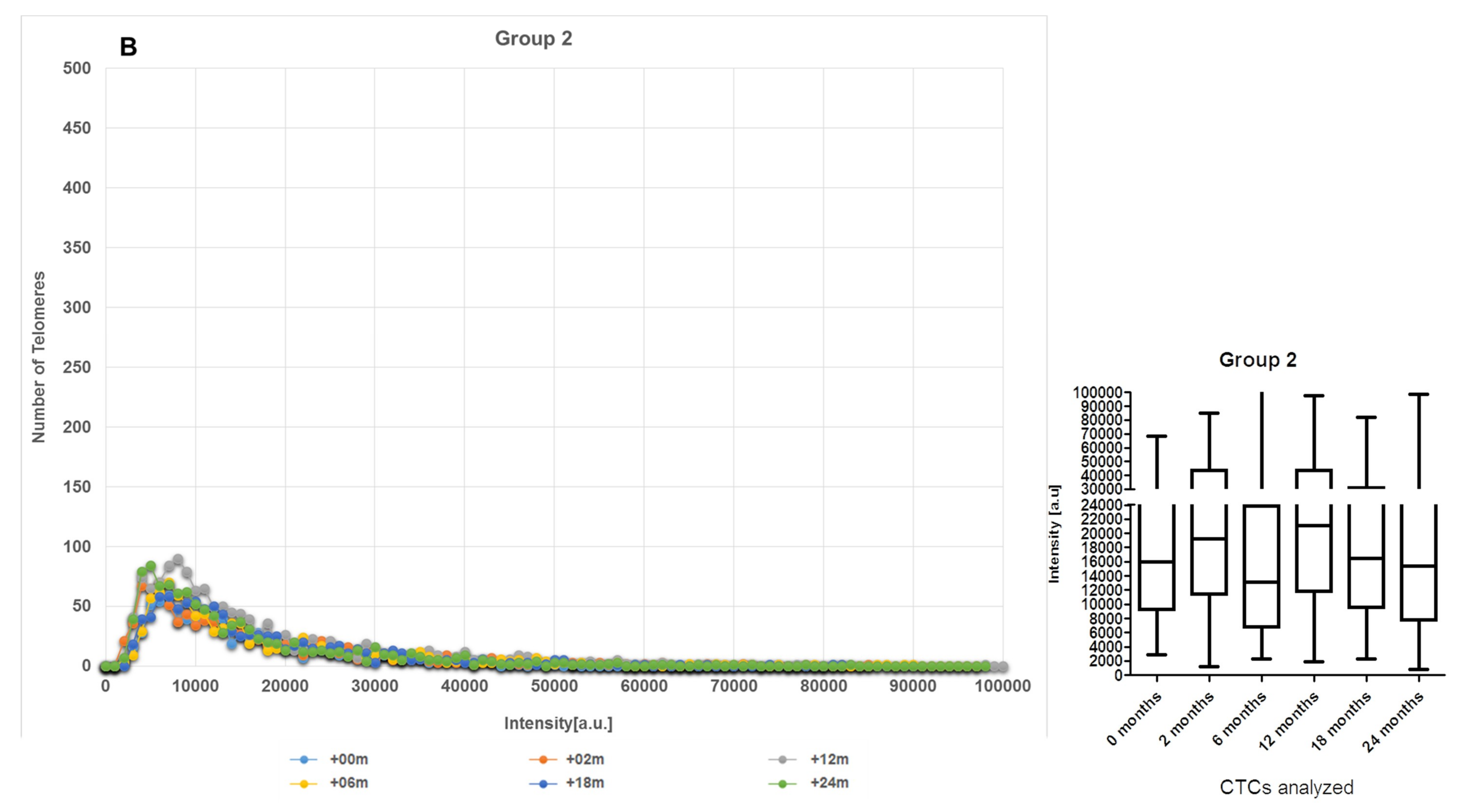 Cancers 11 01165 g003b Cancers 11 01165 g003b