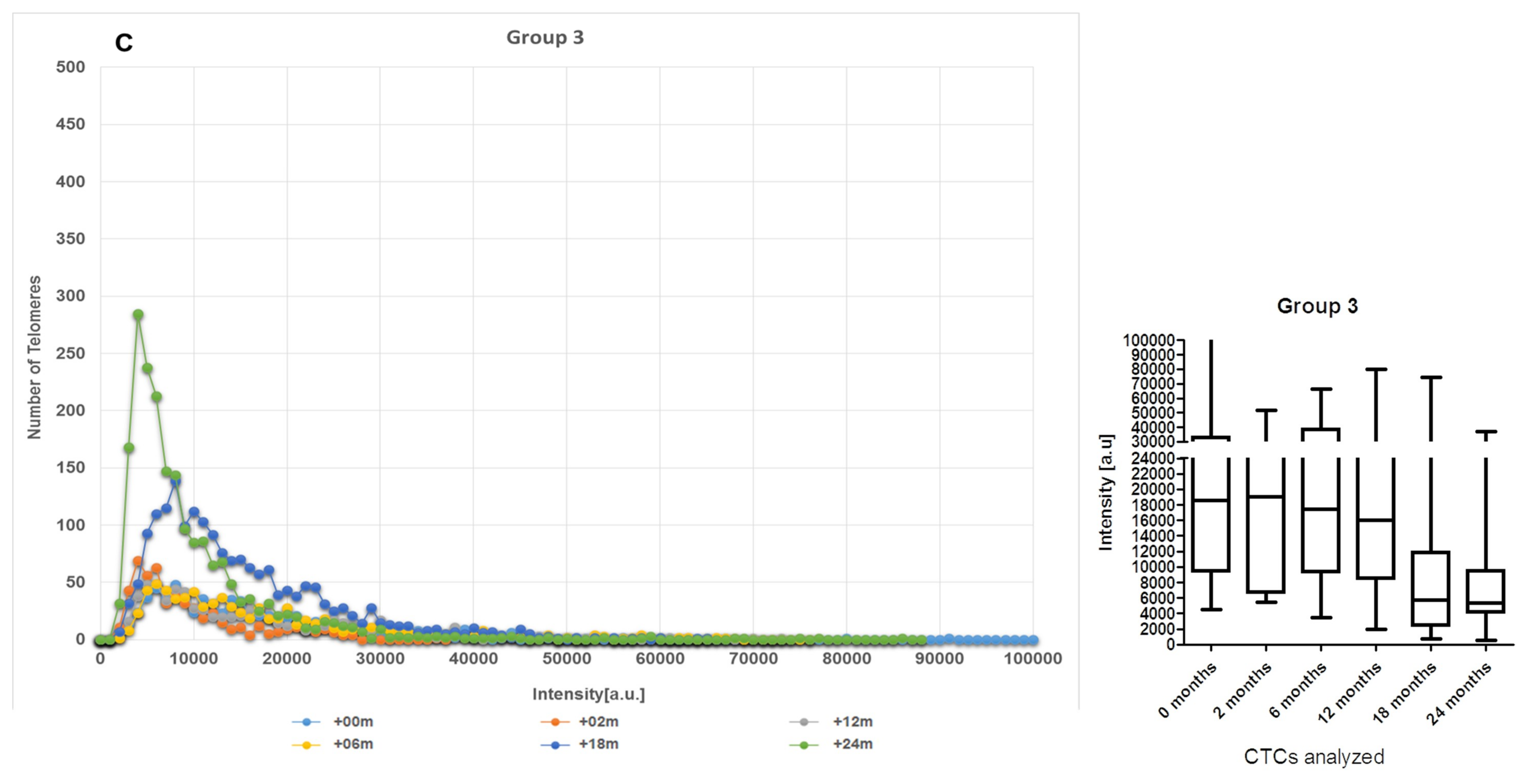 Cancers 11 01165 g003c Cancers 11 01165 g003c