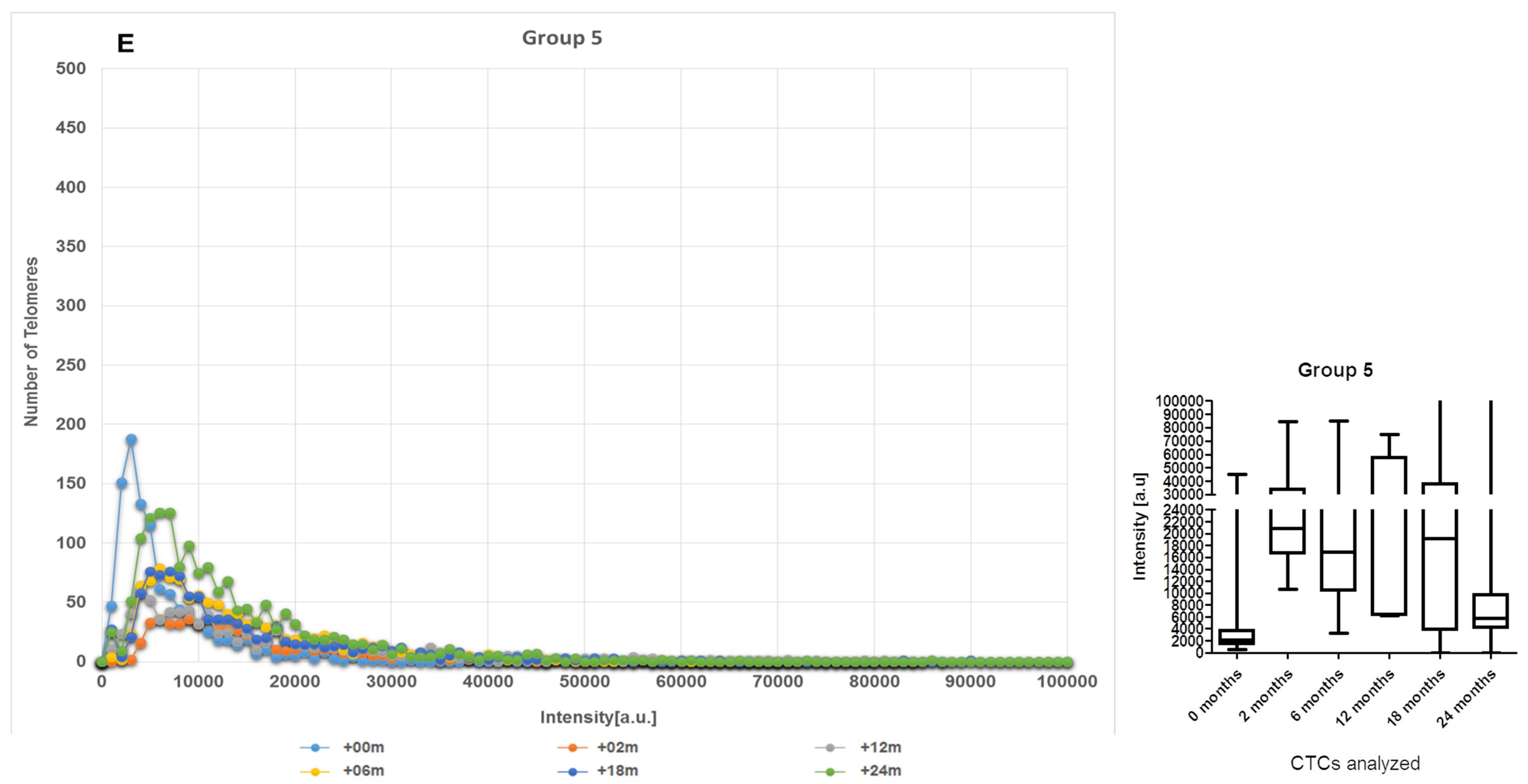Cancers 11 01165 g003e Cancers 11 01165 g003e