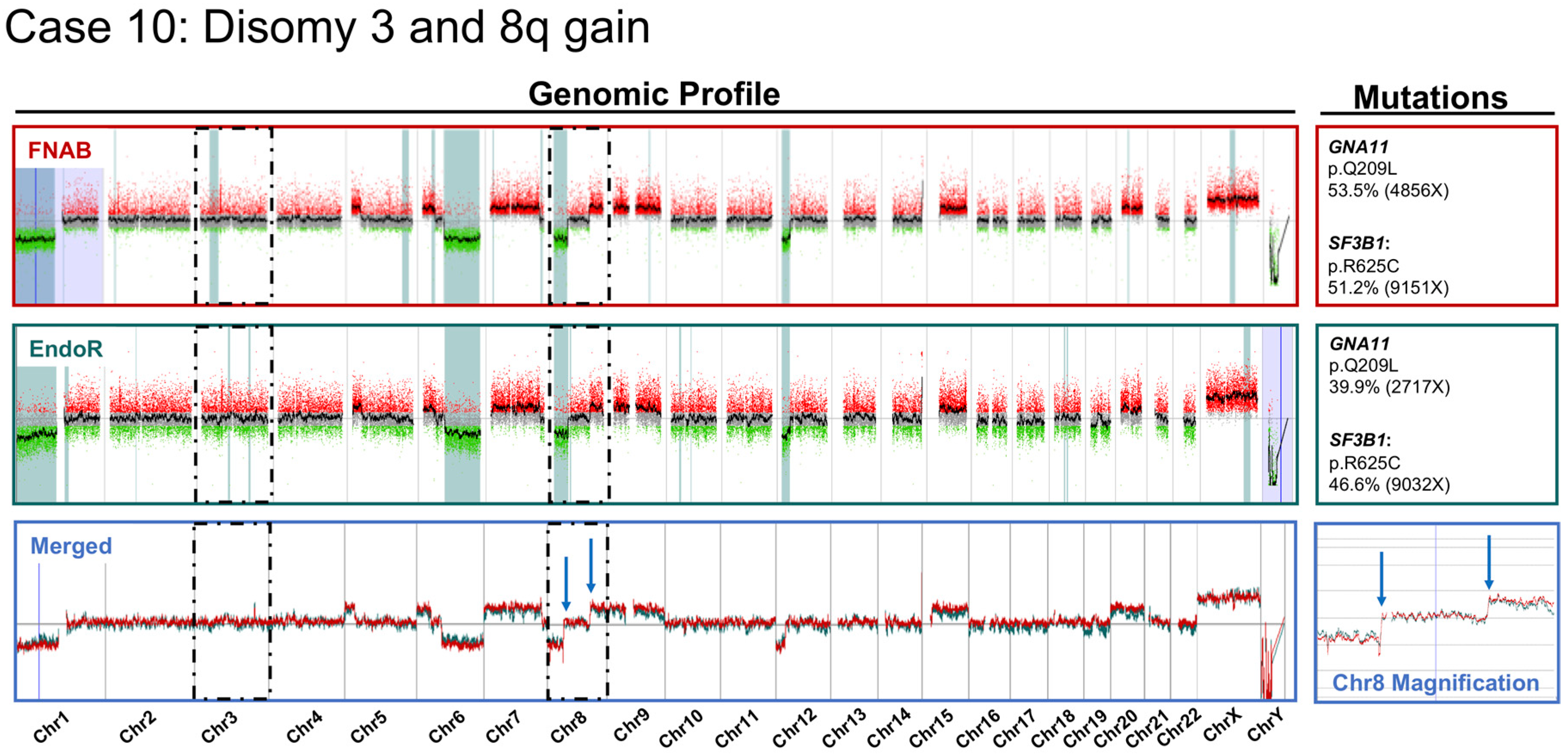Cancers 11 01173 g002 Cancers 11 01173 g002