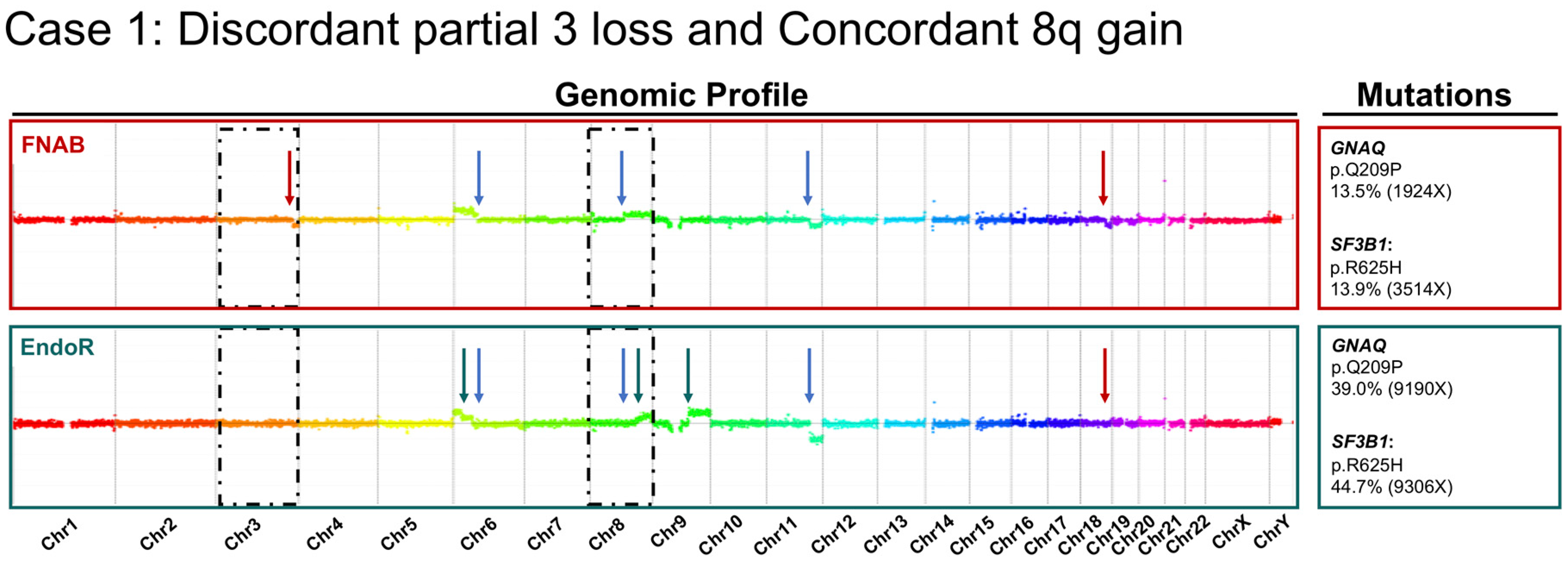 Cancers 11 01173 g003 Cancers 11 01173 g003