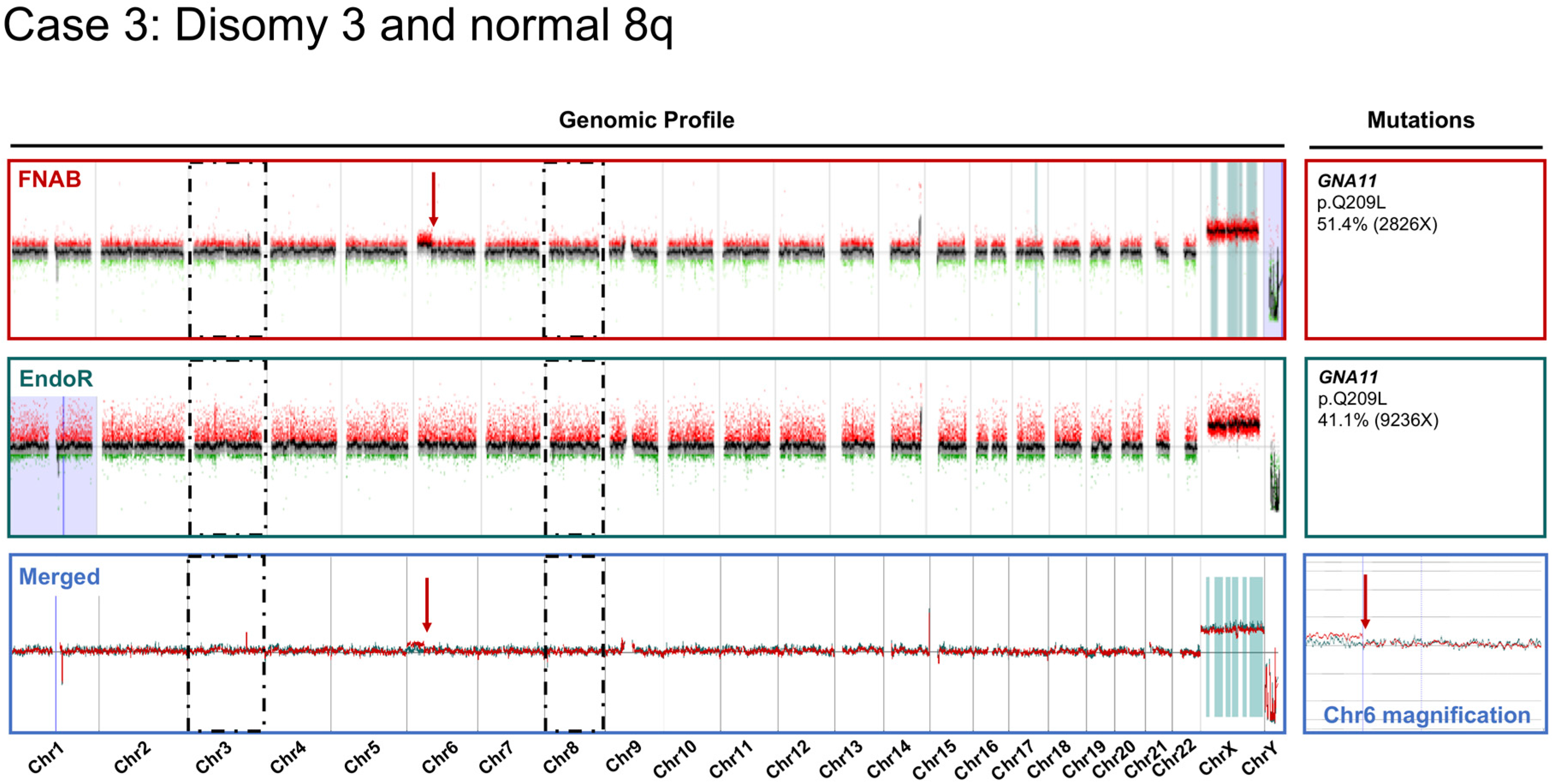 Cancers 11 01173 g004 Cancers 11 01173 g004