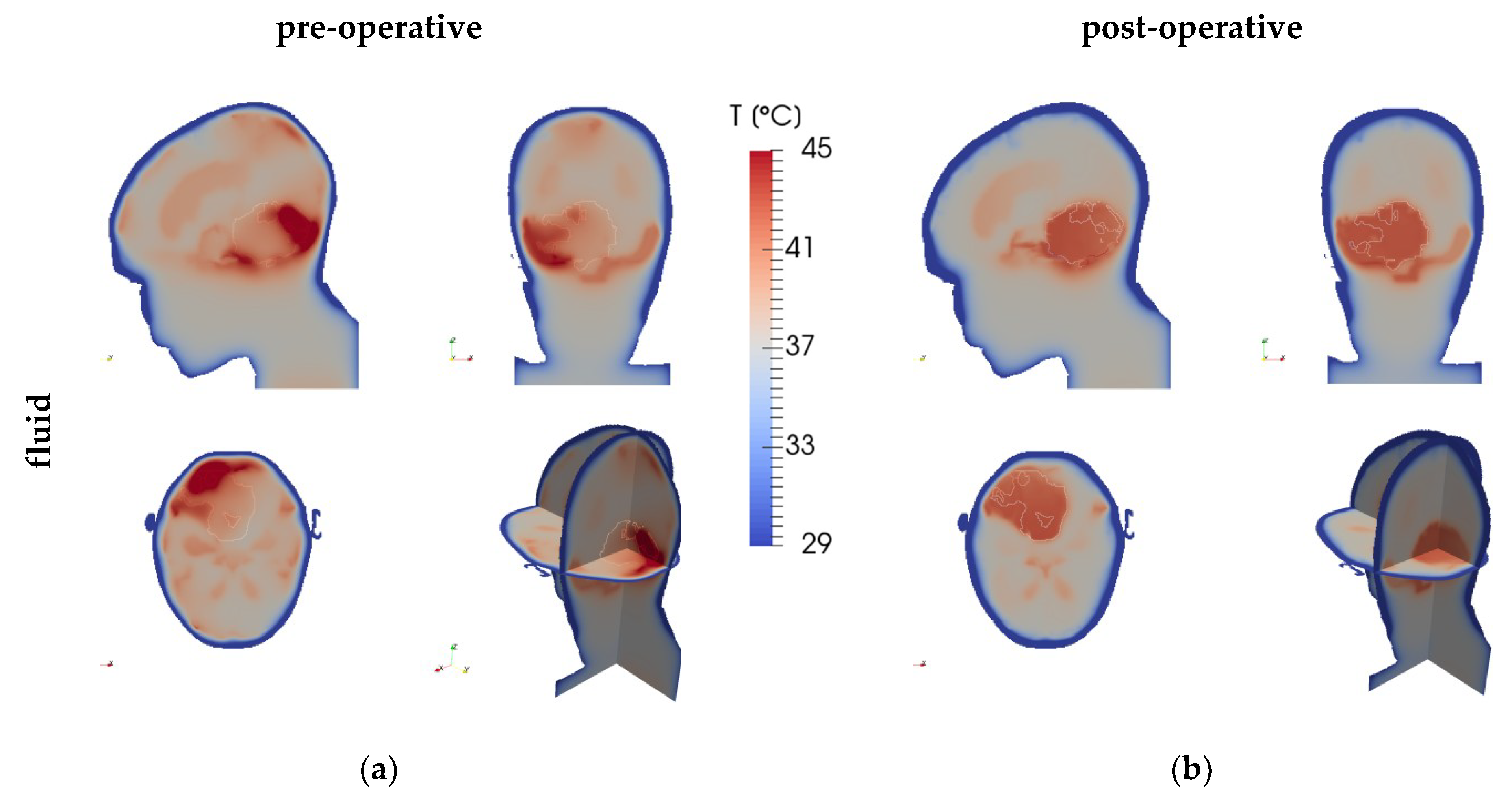 Cancers 11 01183 g003a