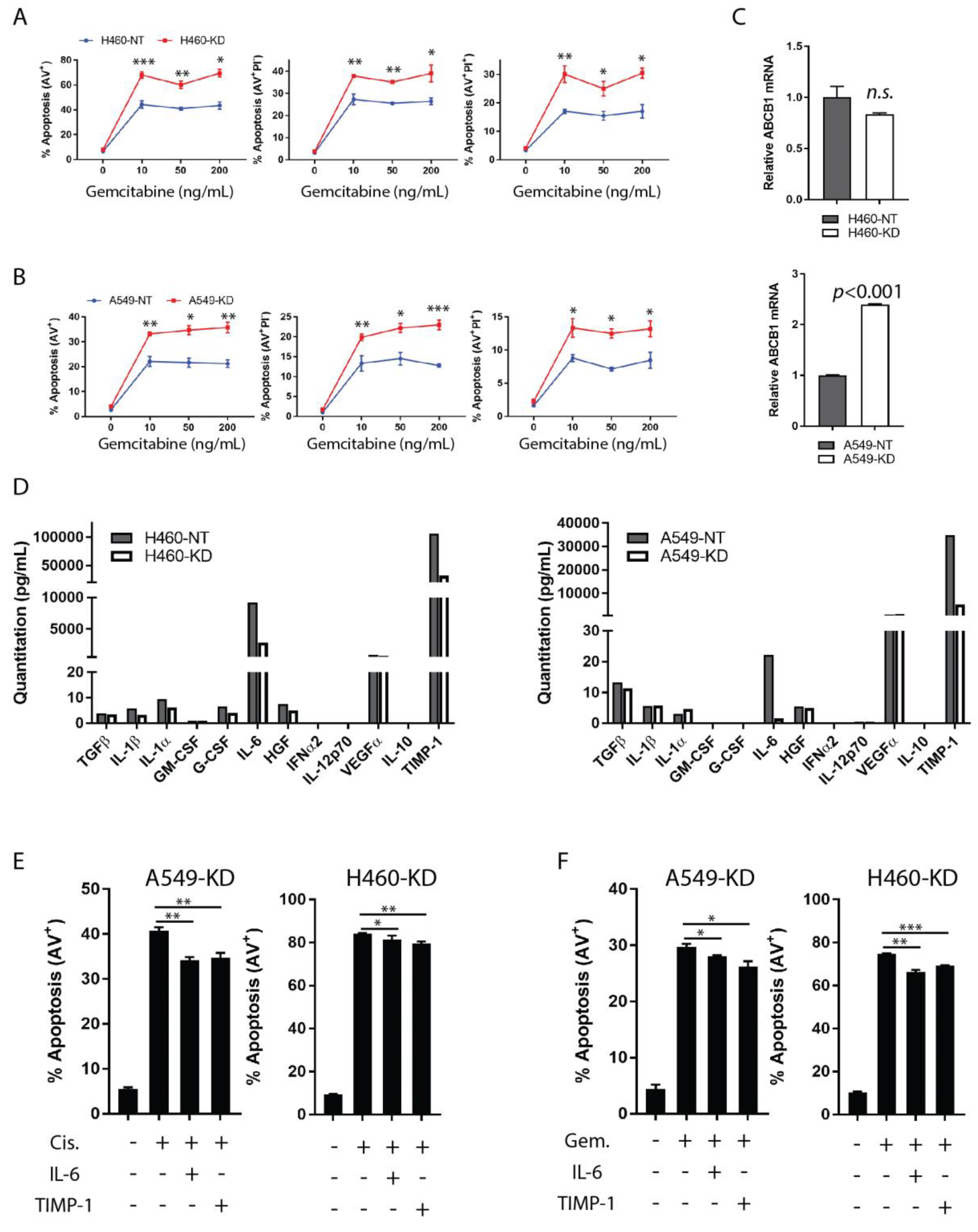 Cancers 11 01184 g001 Cancers 11 01184 g001