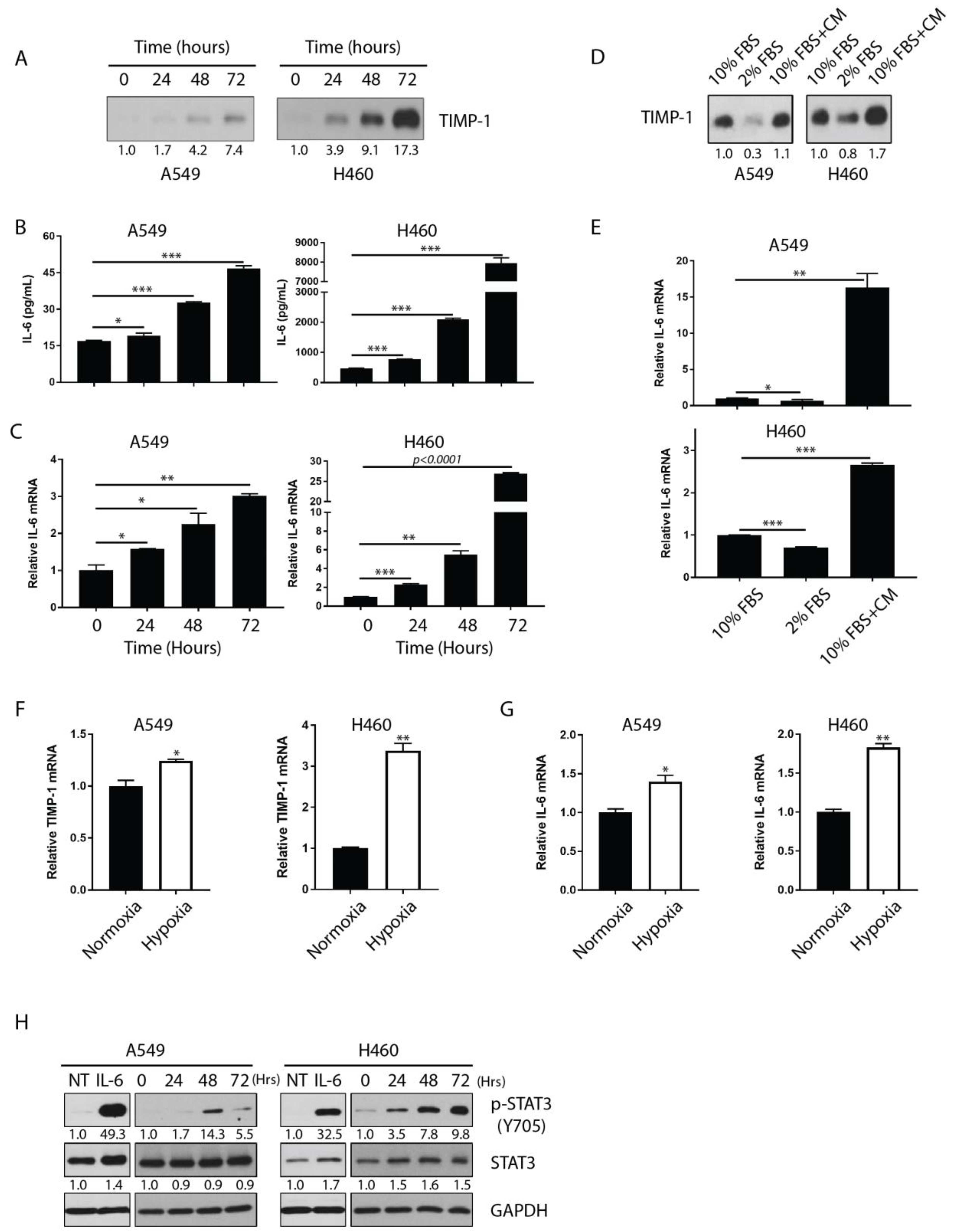 Cancers 11 01184 g002 Cancers 11 01184 g002