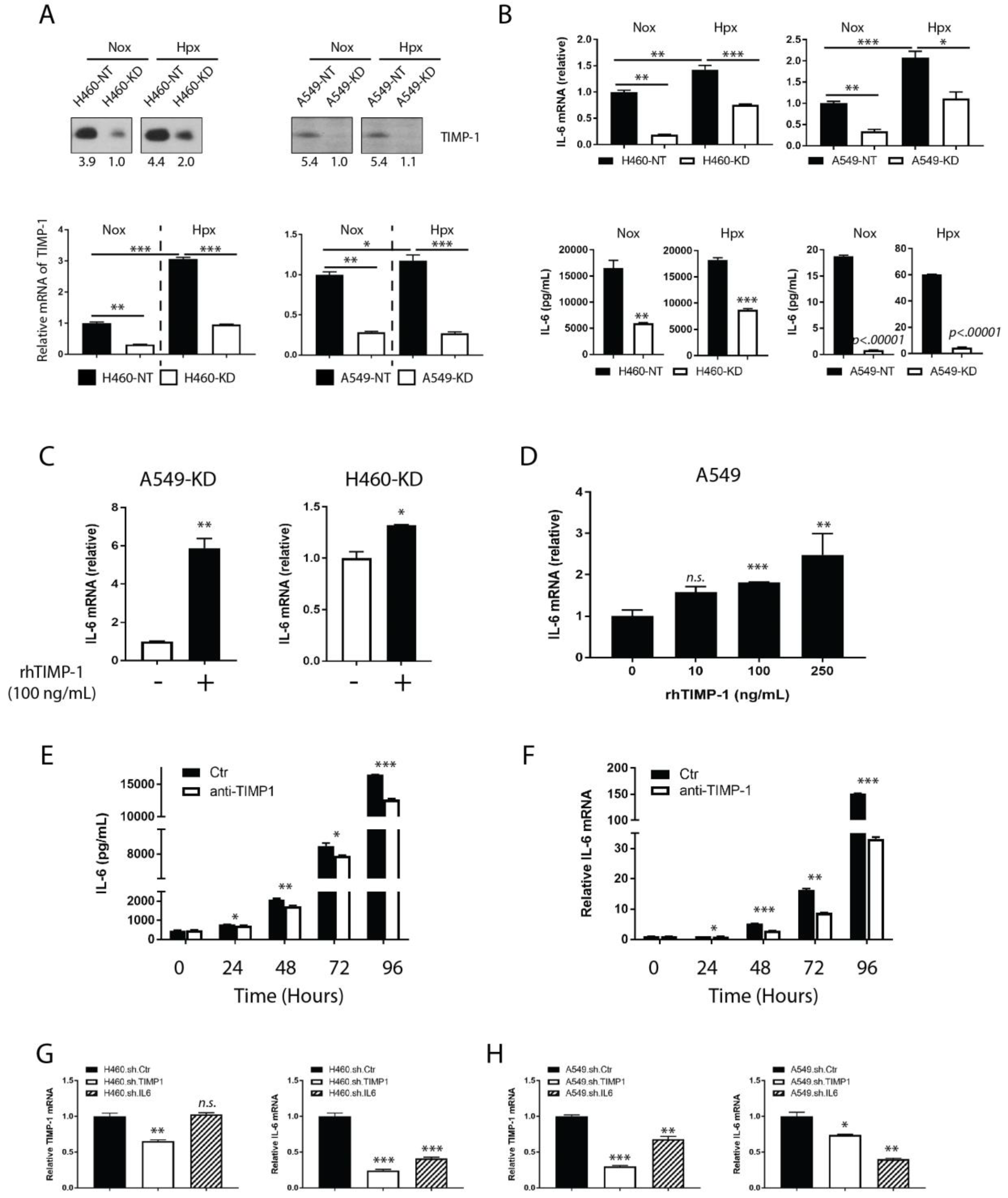 Cancers 11 01184 g003 Cancers 11 01184 g003