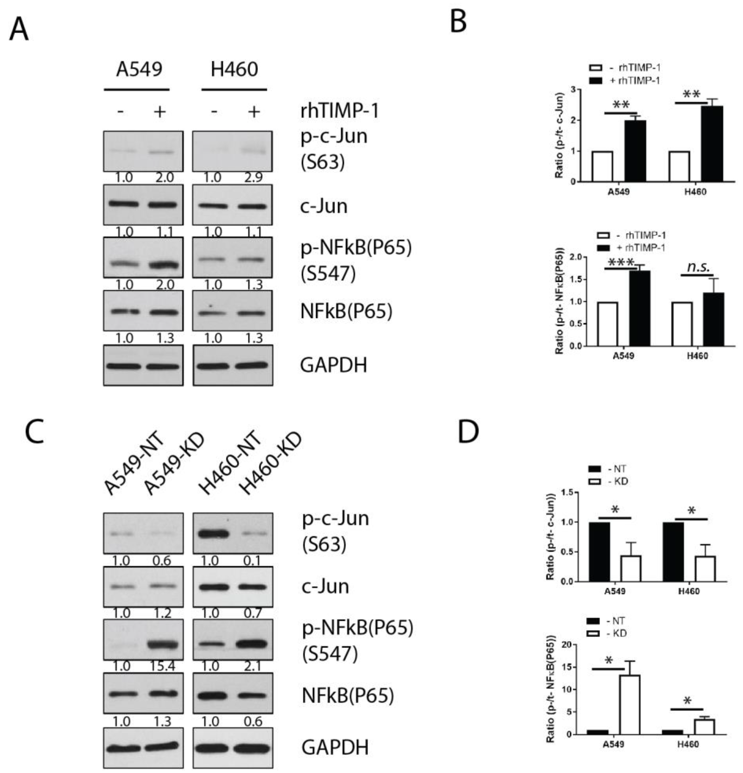 Cancers 11 01184 g004 Cancers 11 01184 g004