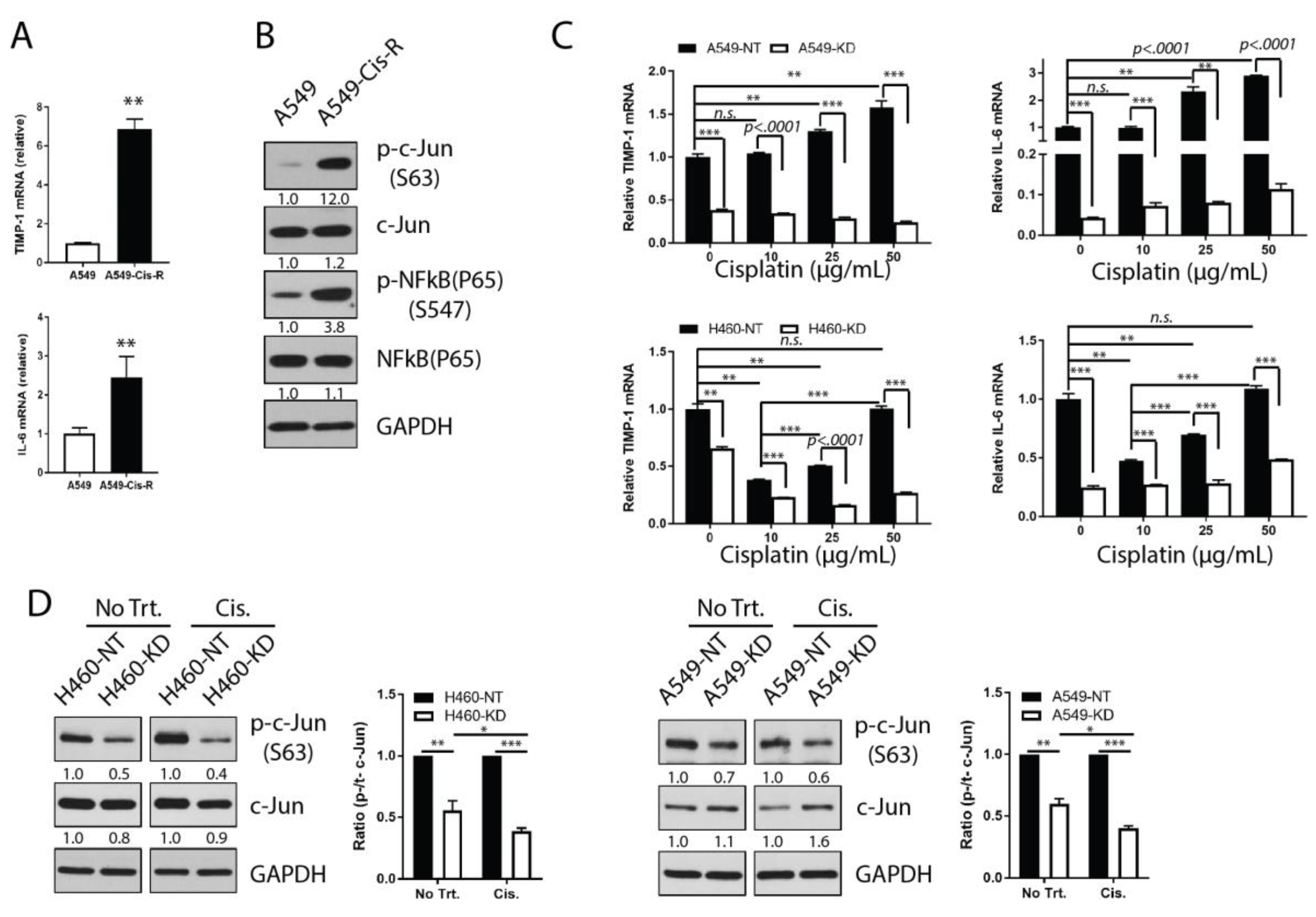 Cancers 11 01184 g005 Cancers 11 01184 g005