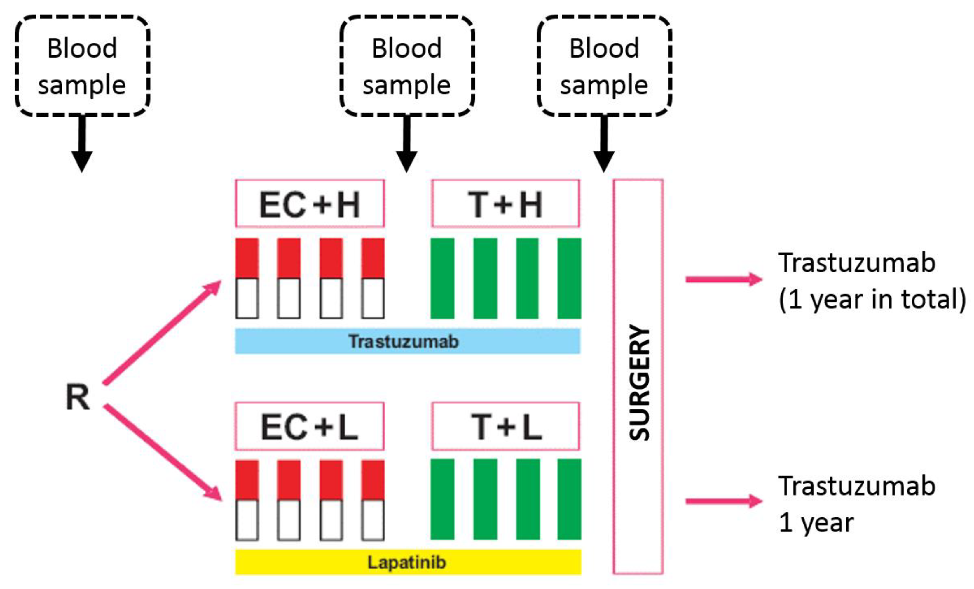 Cancers 11 01186 g001 Cancers 11 01186 g001