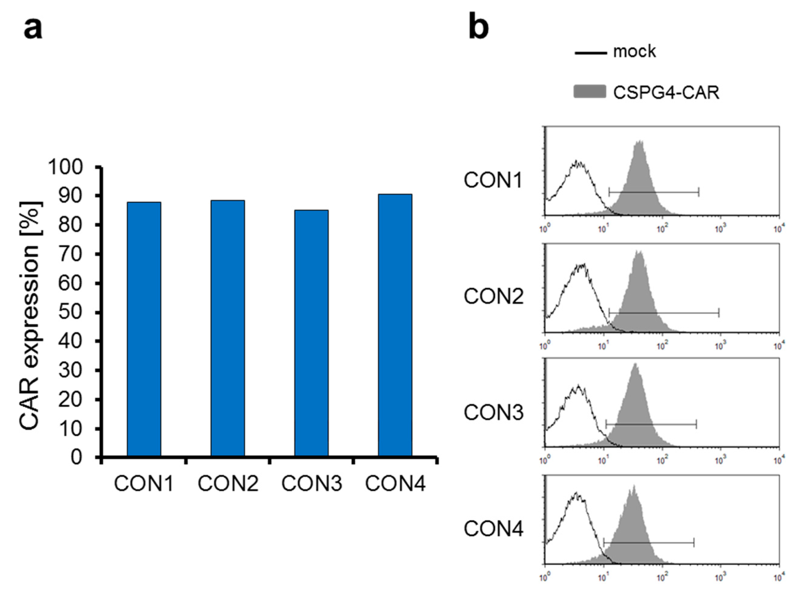 Cancers 11 01198 g004 Cancers 11 01198 g004