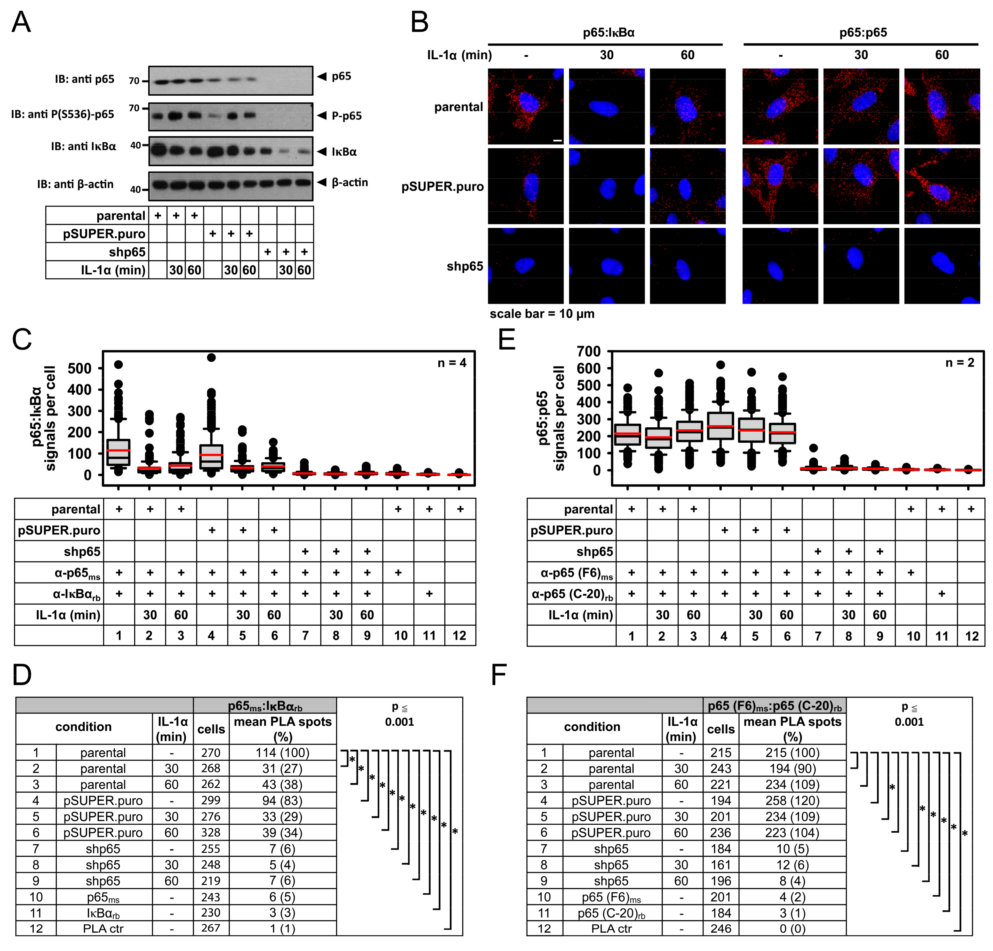 Cancers 11 01199 g004 Cancers 11 01199 g004