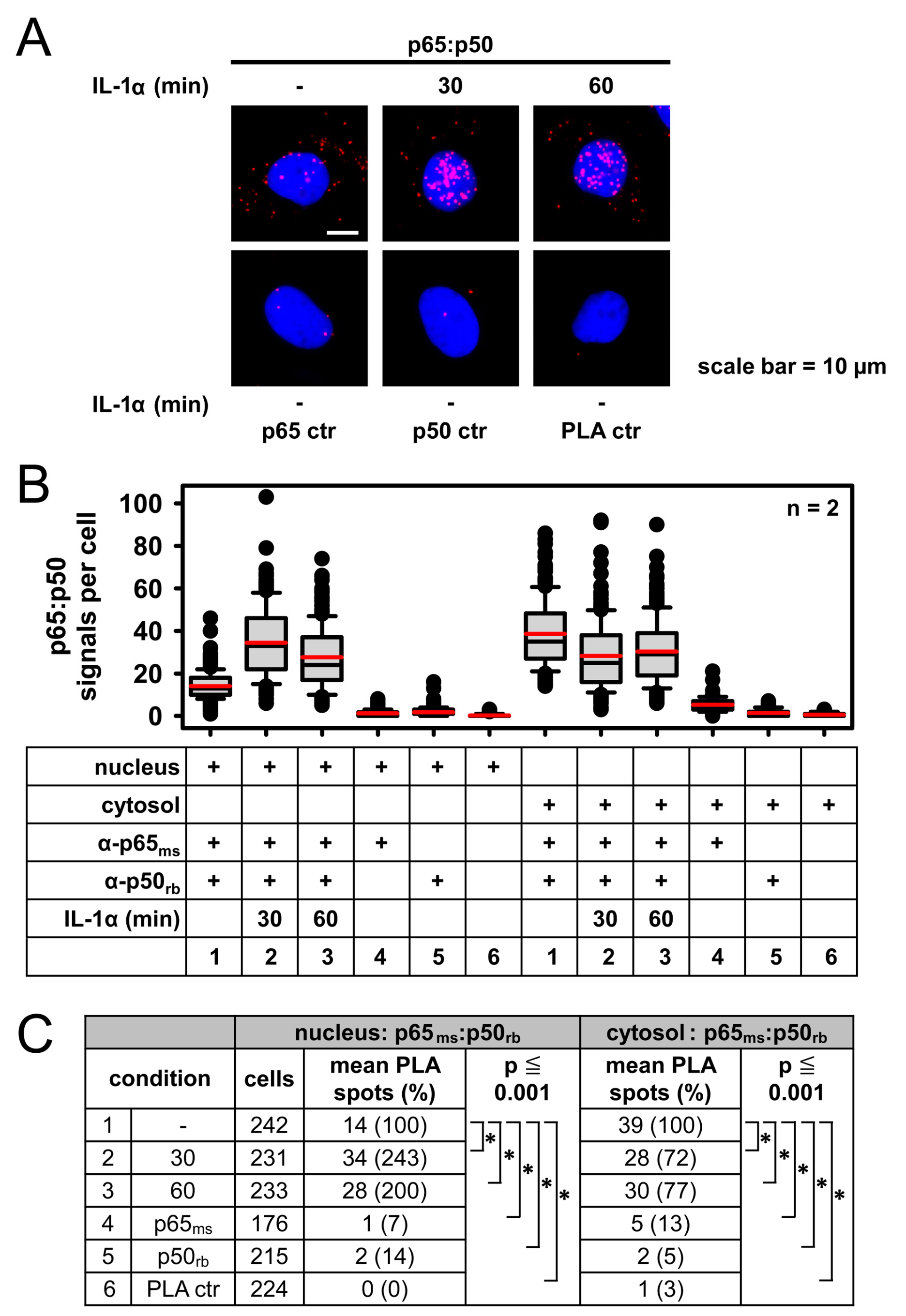 Cancers 11 01199 g005 Cancers 11 01199 g005