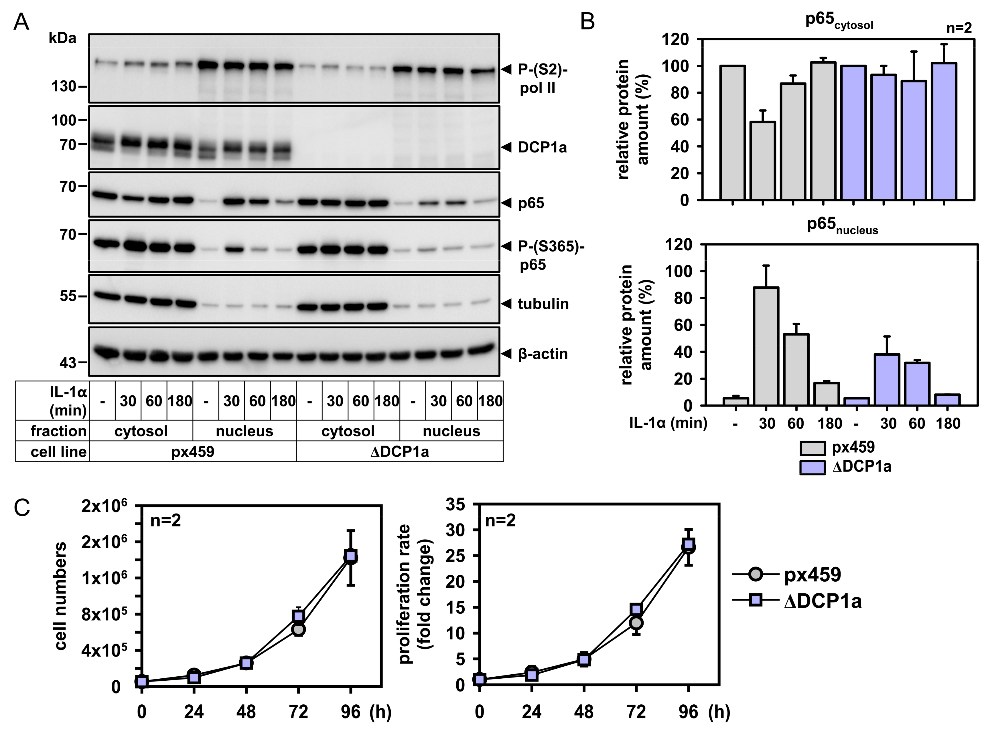 Cancers 11 01199 g007 Cancers 11 01199 g007