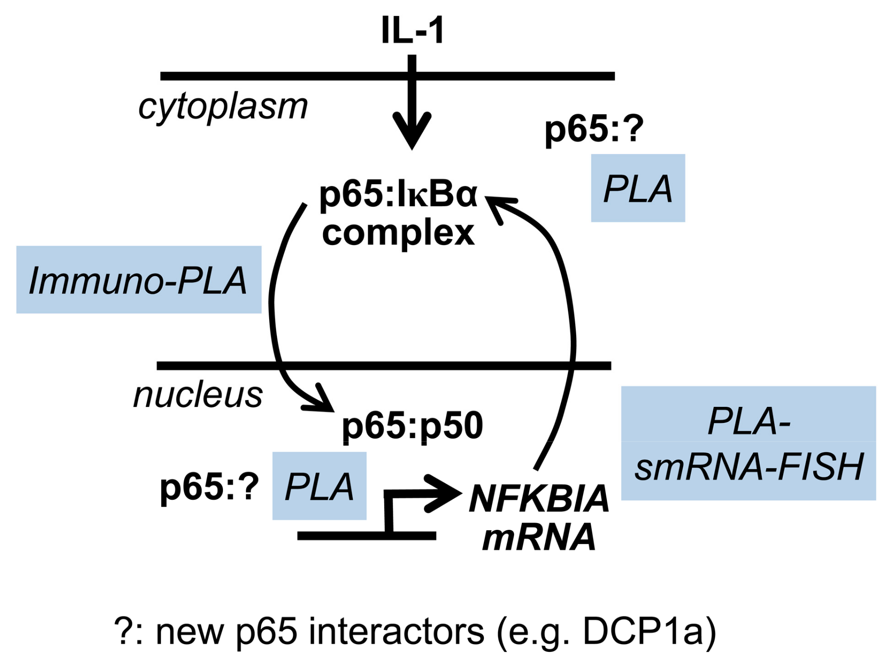 Cancers 11 01199 g009 Cancers 11 01199 g009