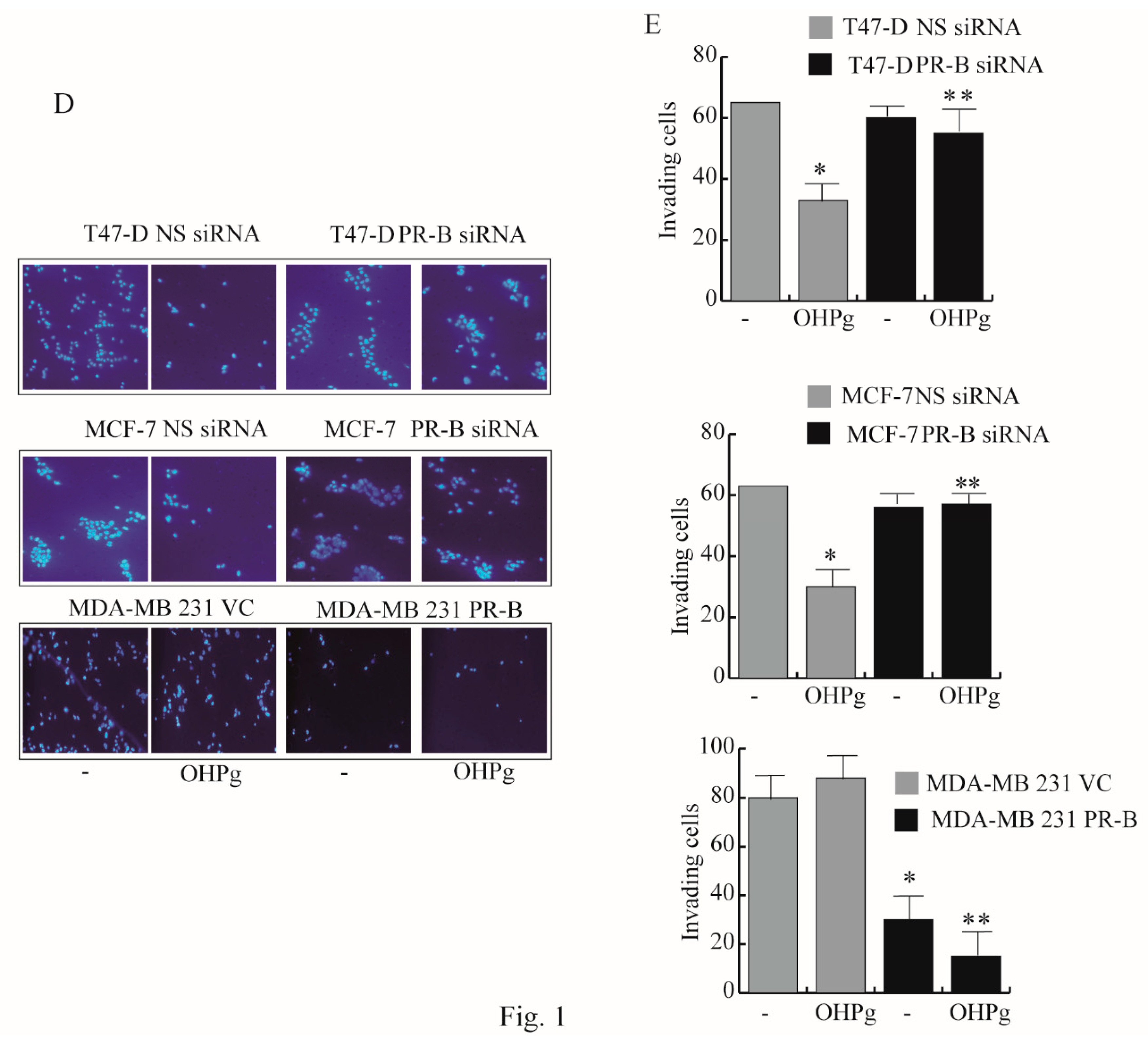 Cancers 11 01201 g001b