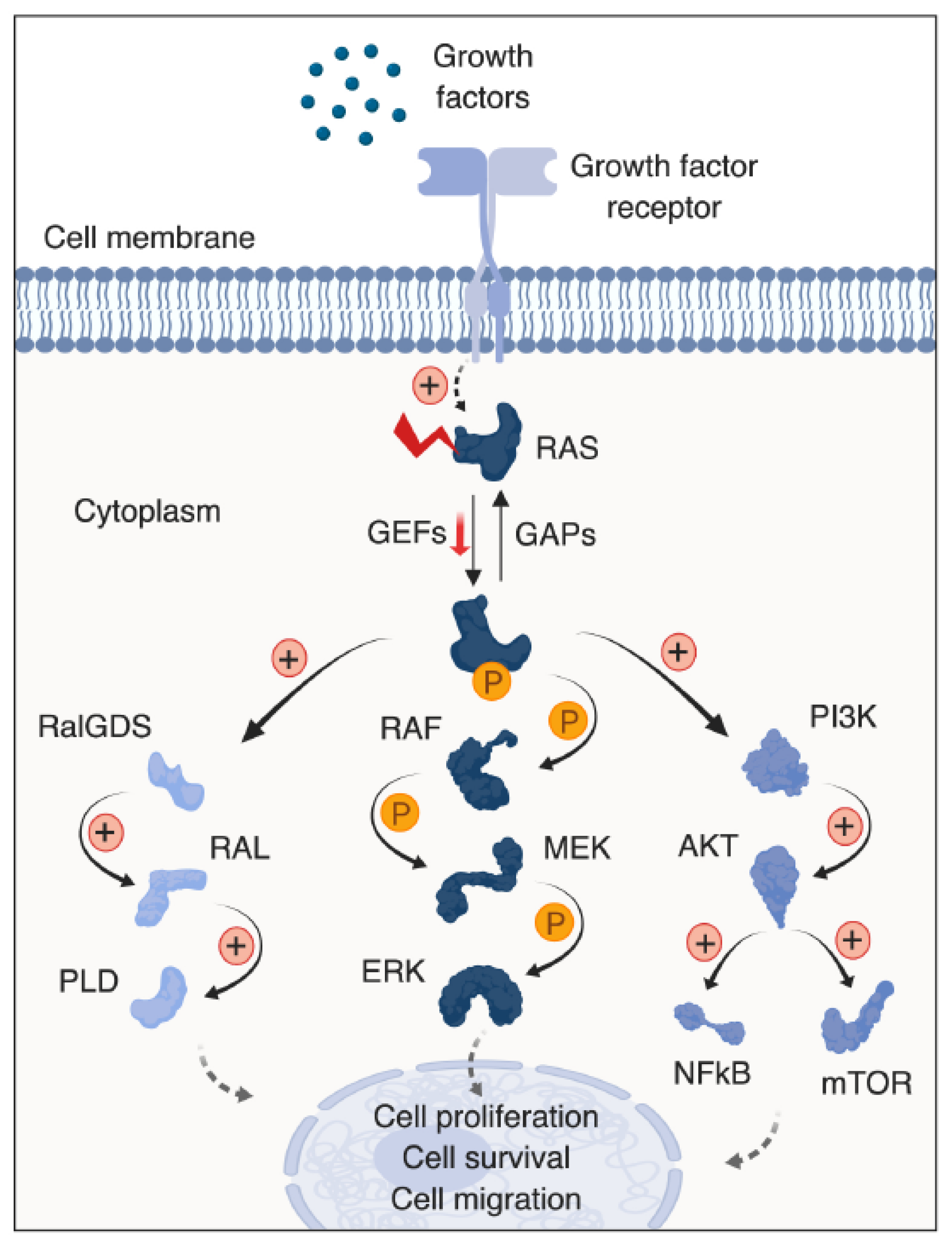 Cancers 11 01218 g001