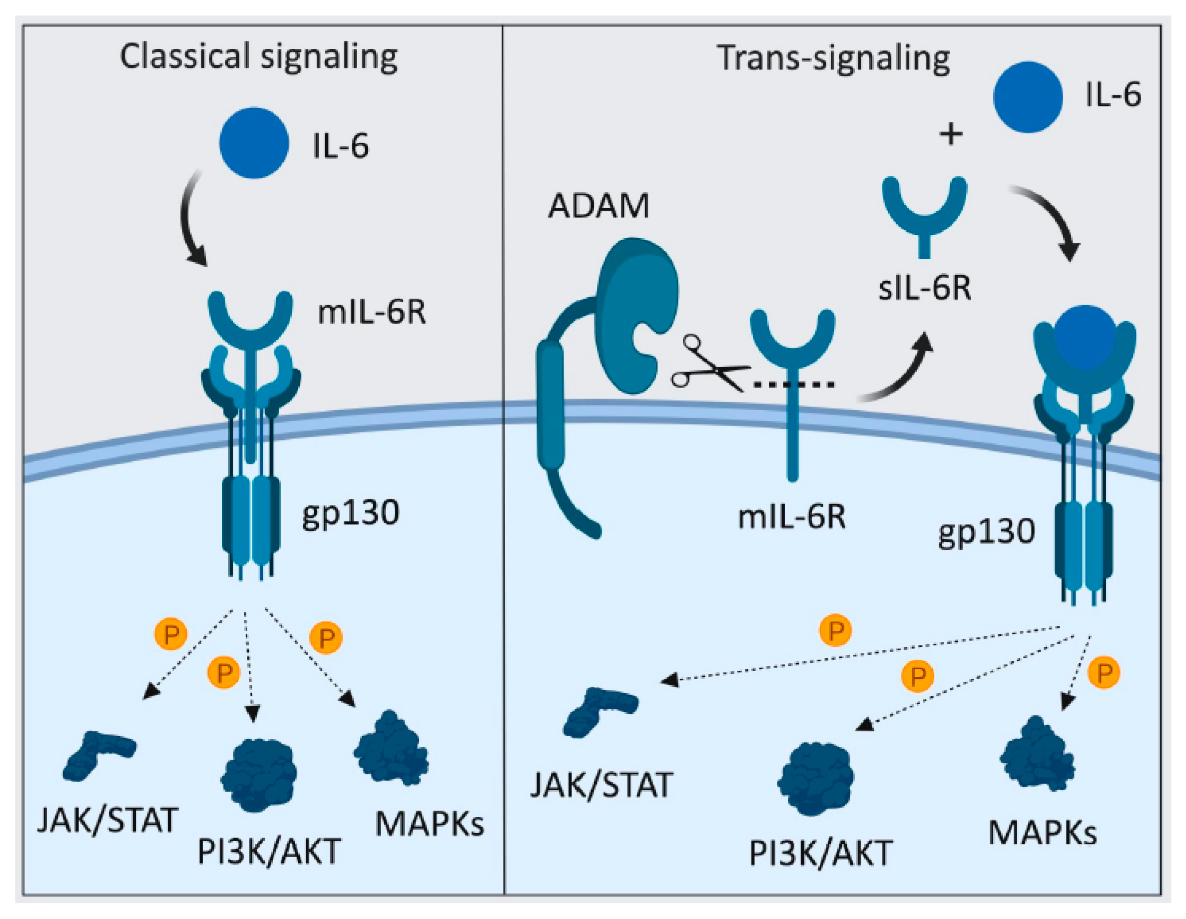 Cancers 11 01218 g009