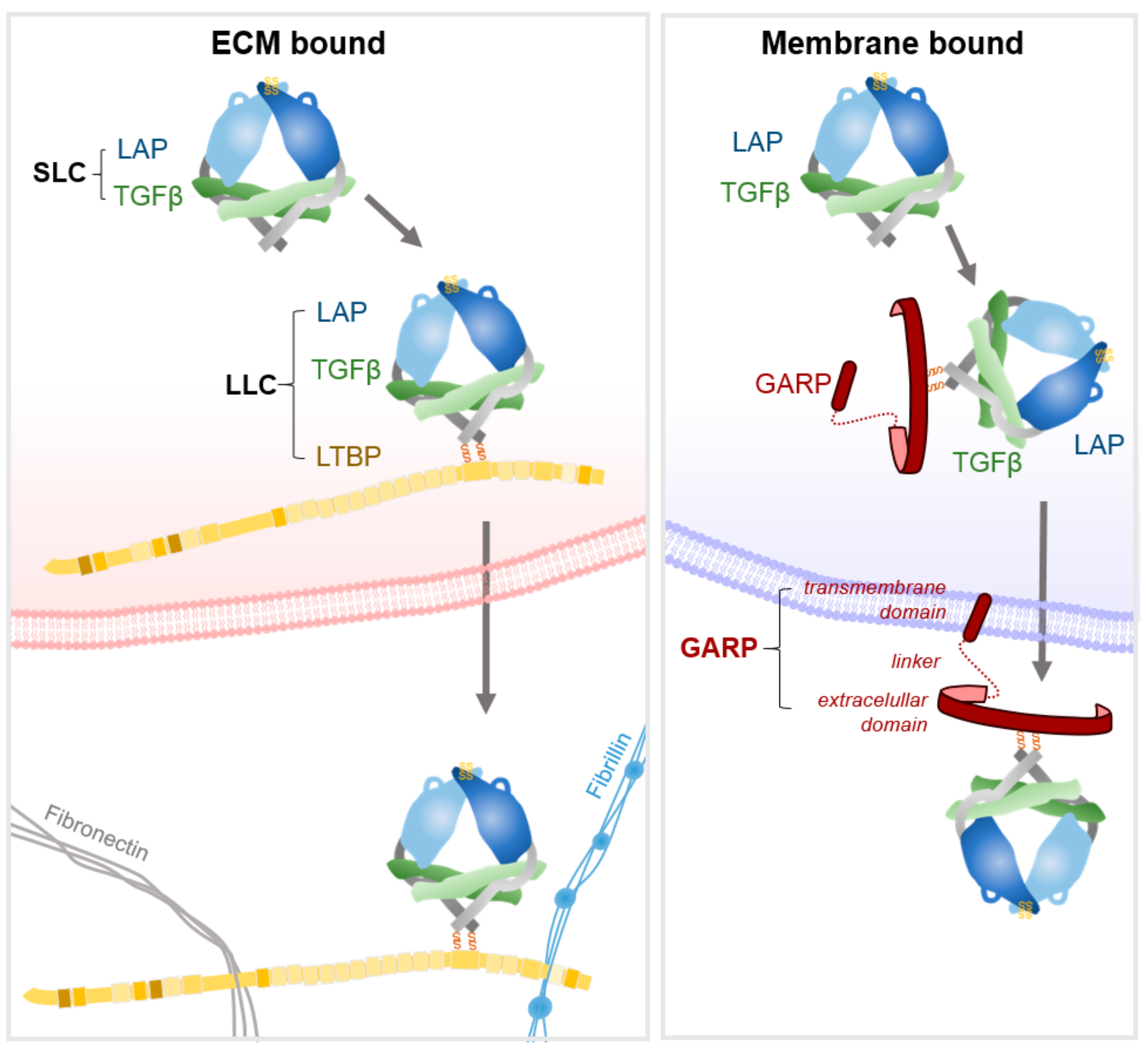 Cancers 11 01221 g002 Cancers 11 01221 g002