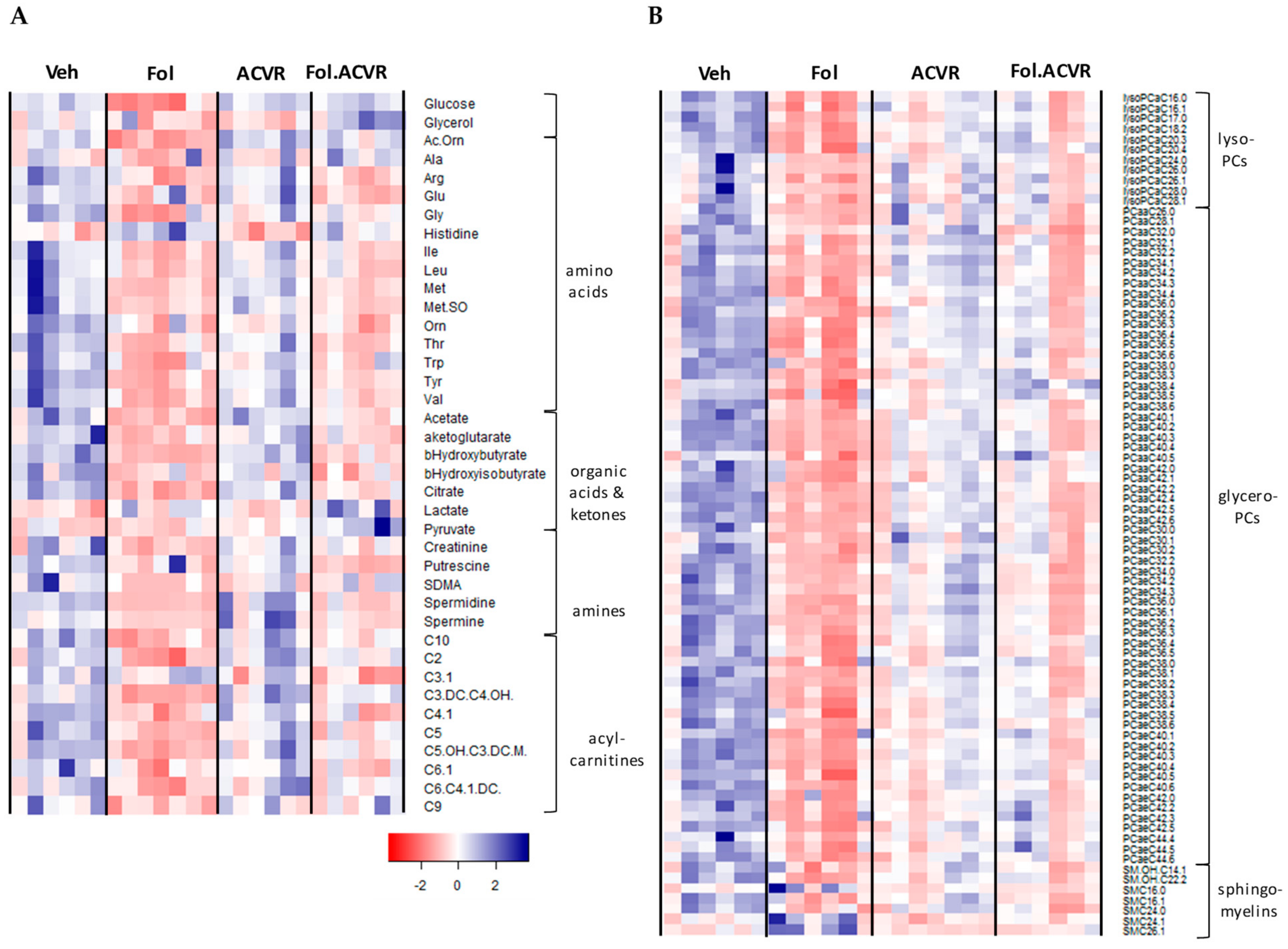 Cancers 11 01222 g001