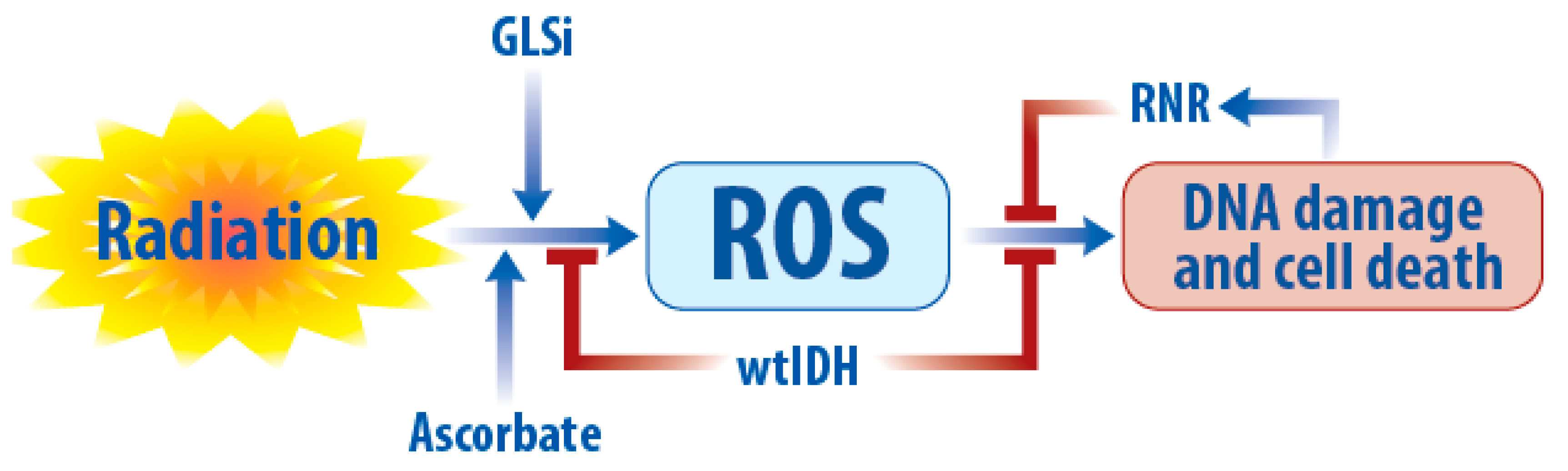Cancers 11 01231 g003