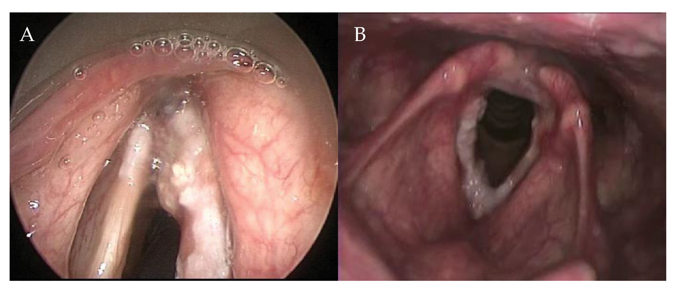 Cancers 11 01234 g001
