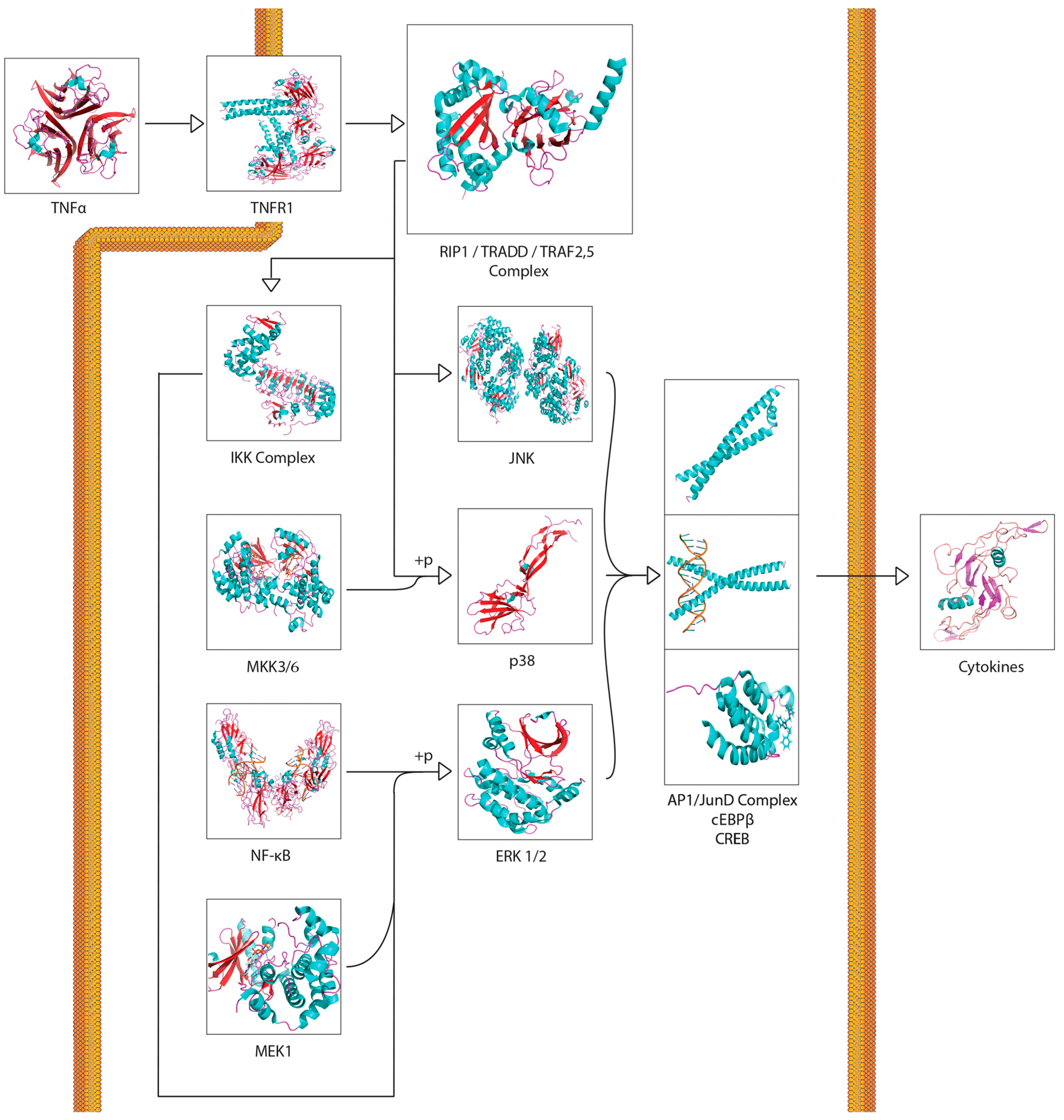 Cancers 11 01236 g002