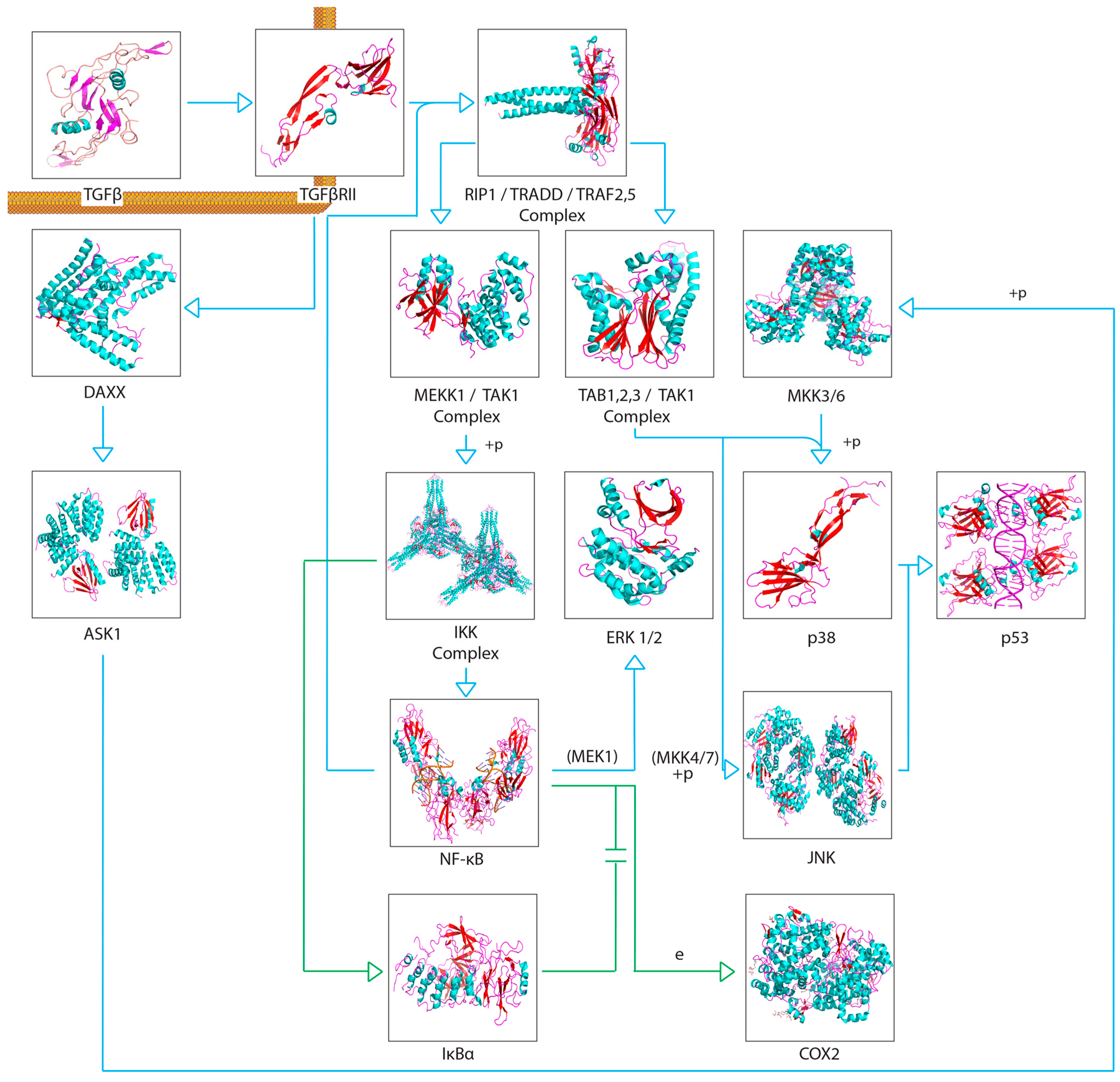 Cancers 11 01236 g003