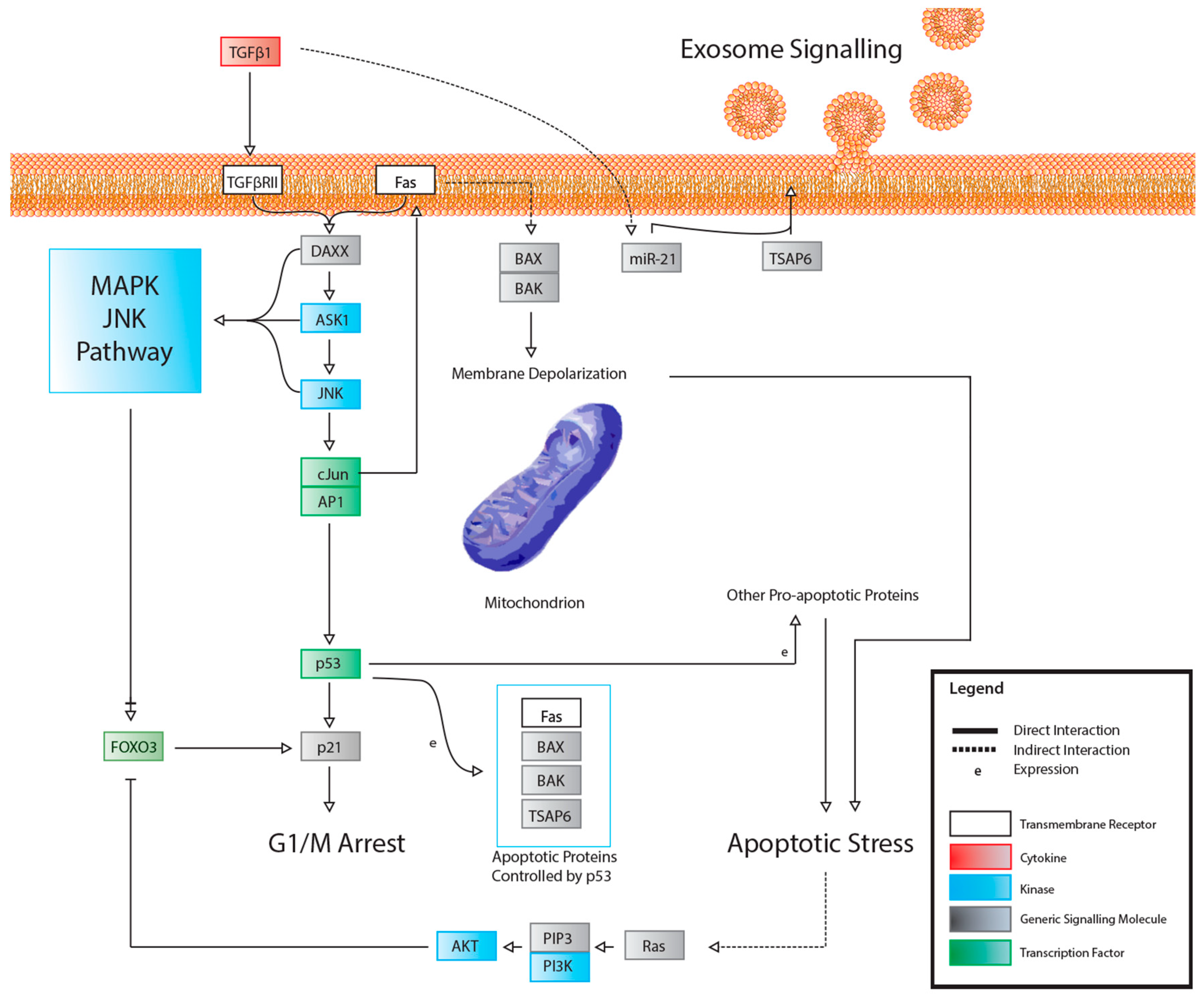 Cancers 11 01236 g006