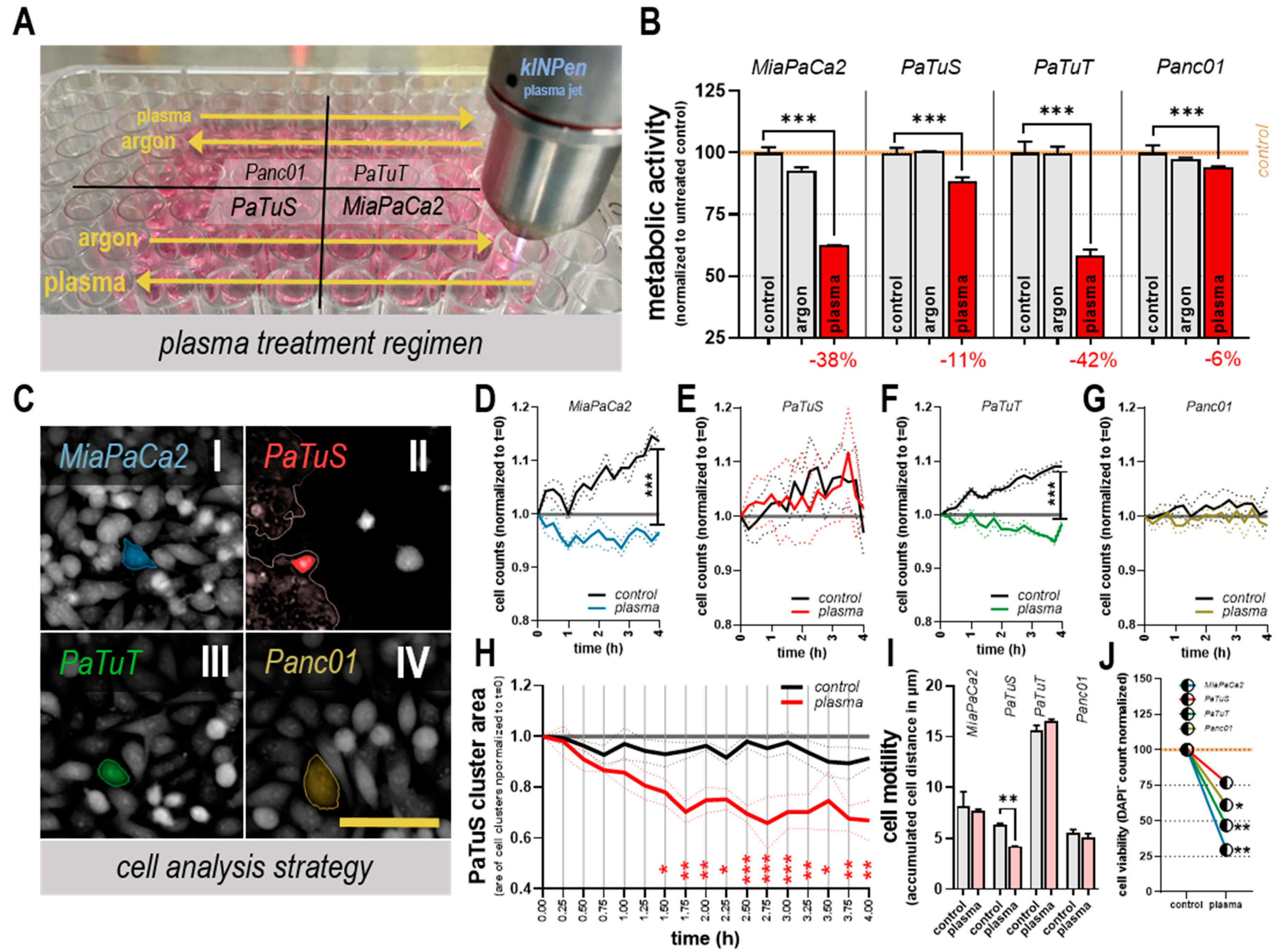 Cancers 11 01237 g002