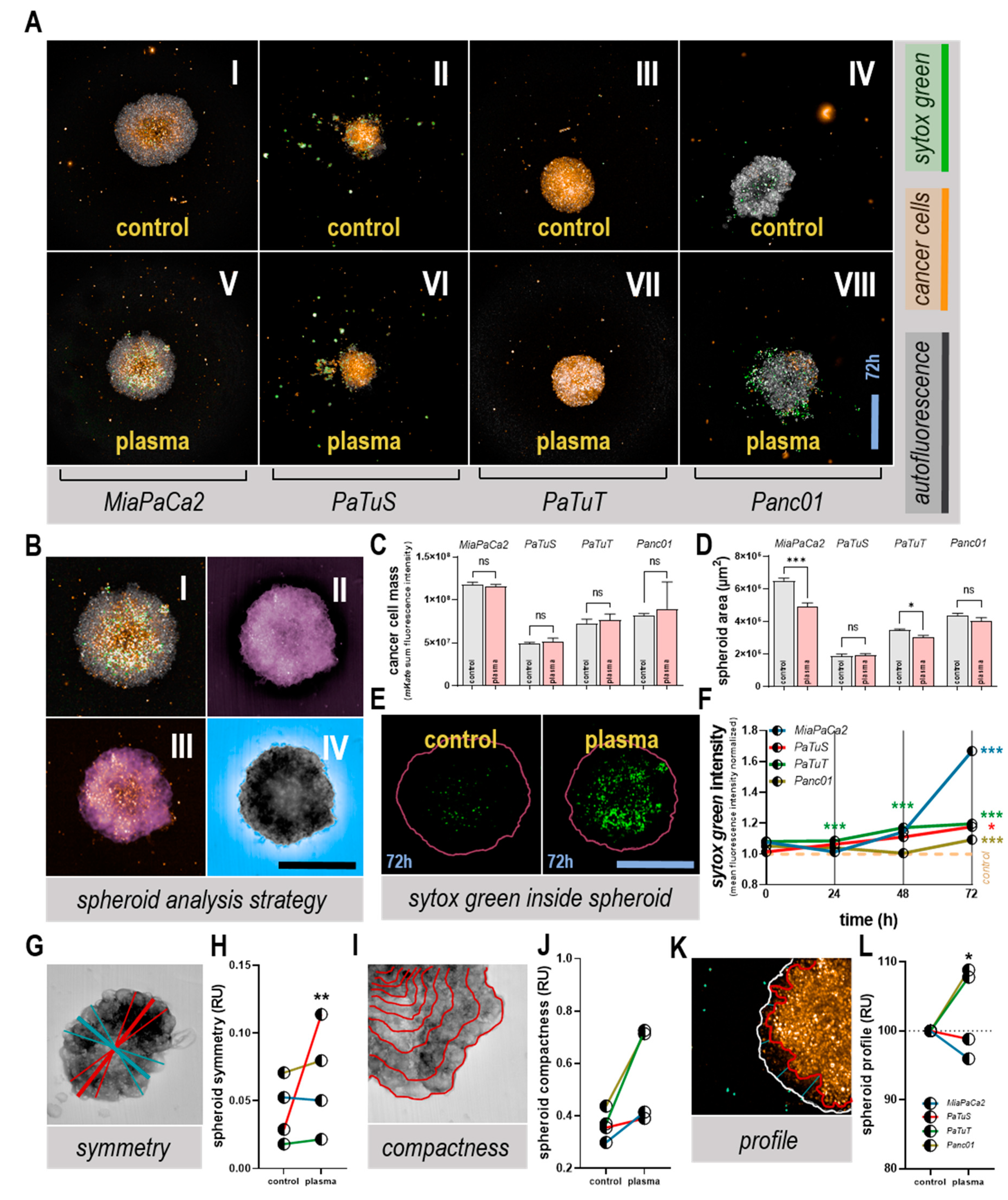 Cancers 11 01237 g004