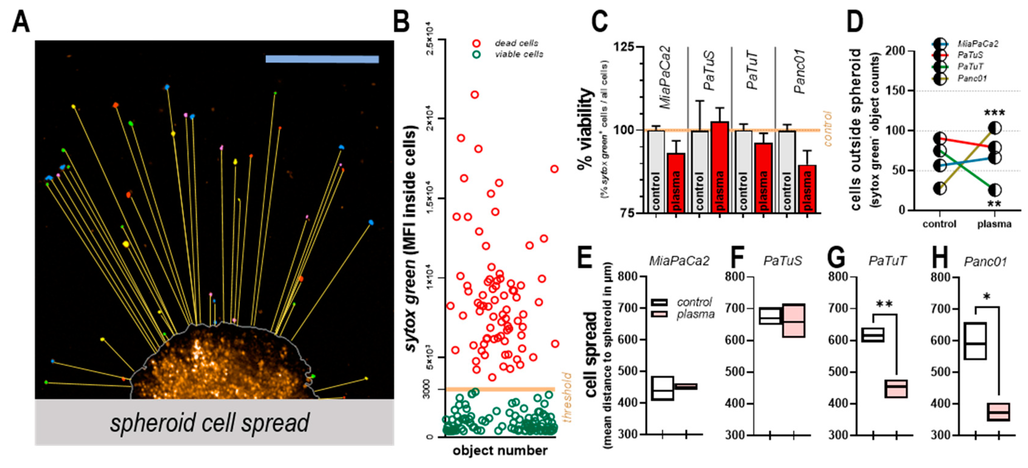 Cancers 11 01237 g005