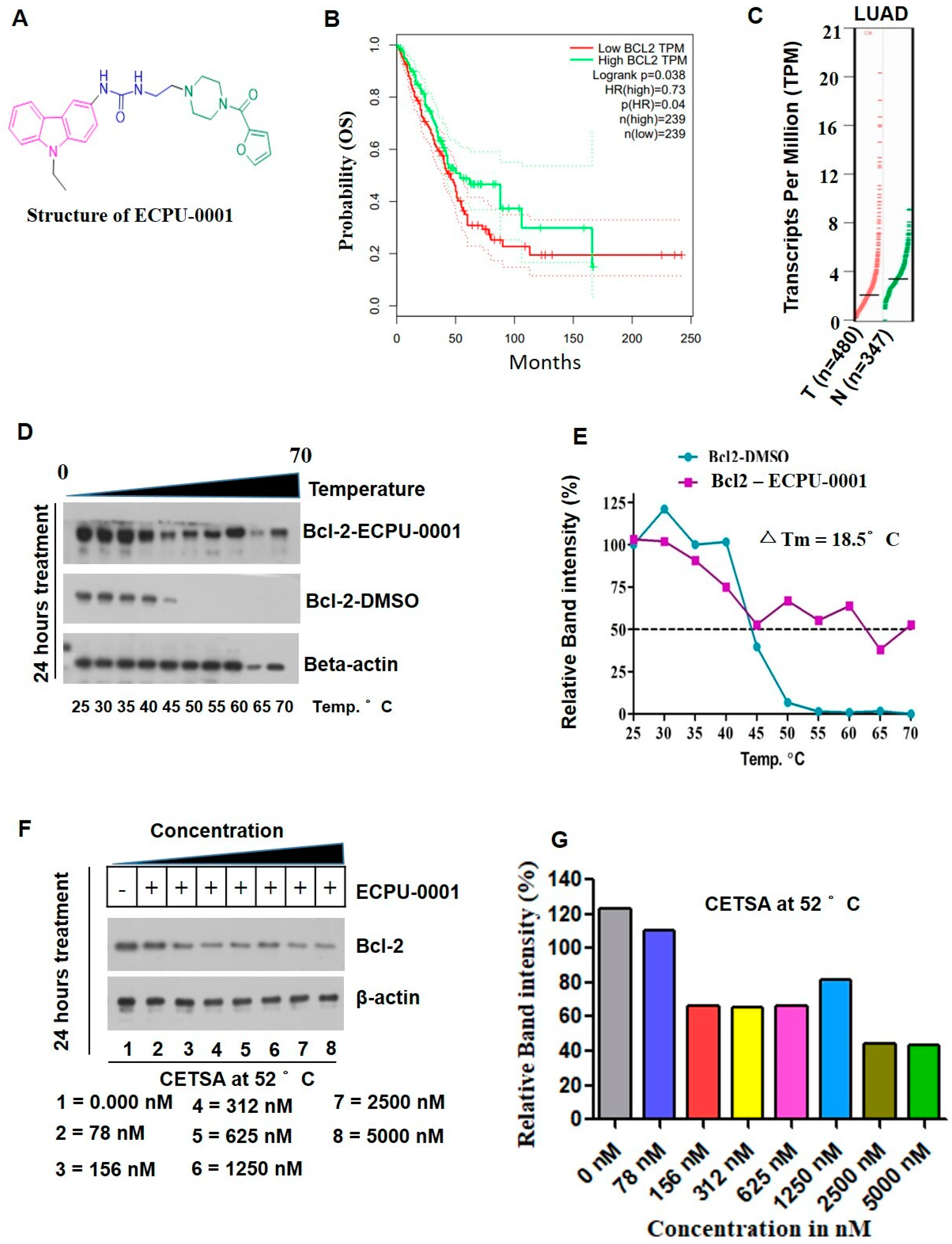 Cancers 11 01245 g003