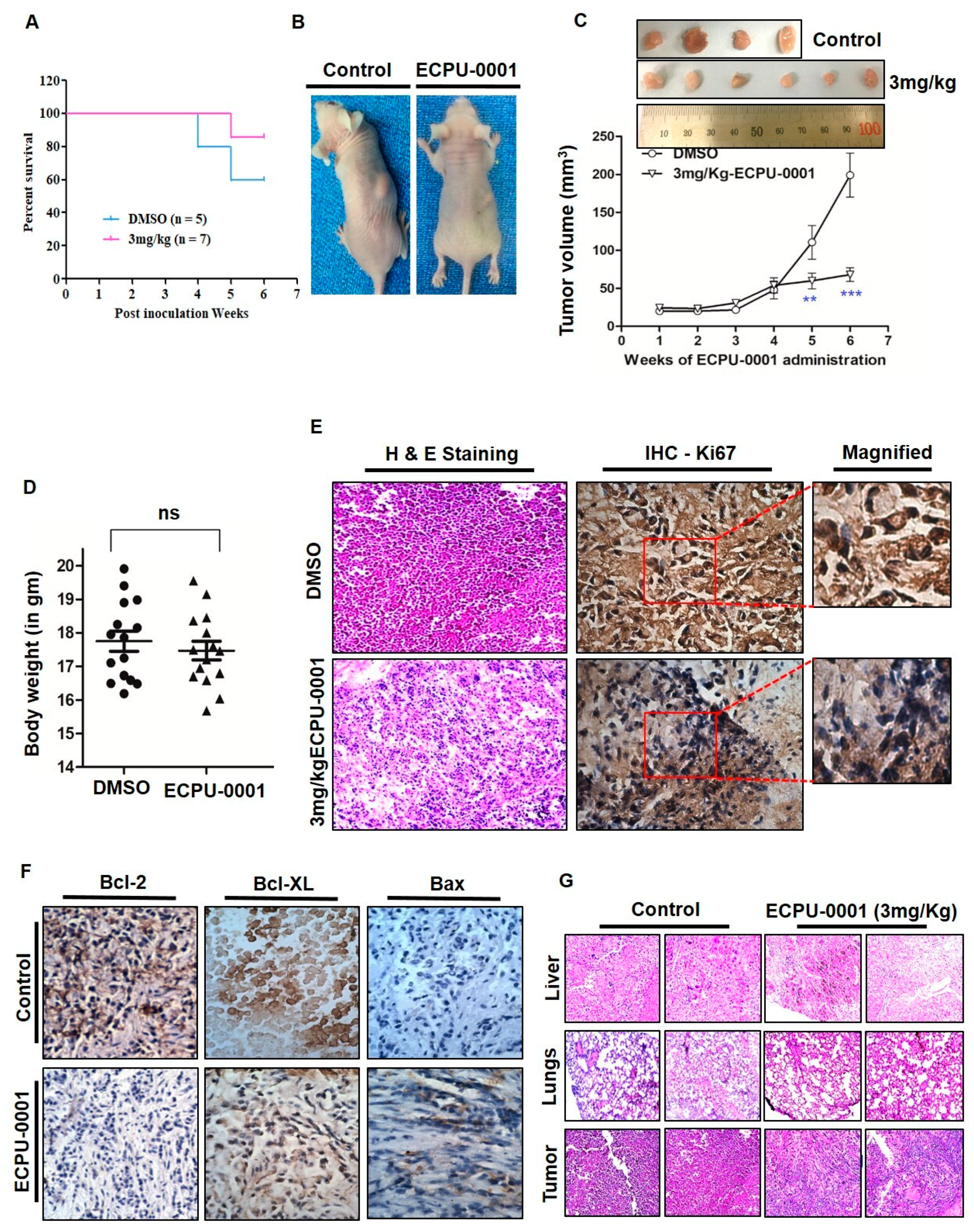 Cancers 11 01245 g007