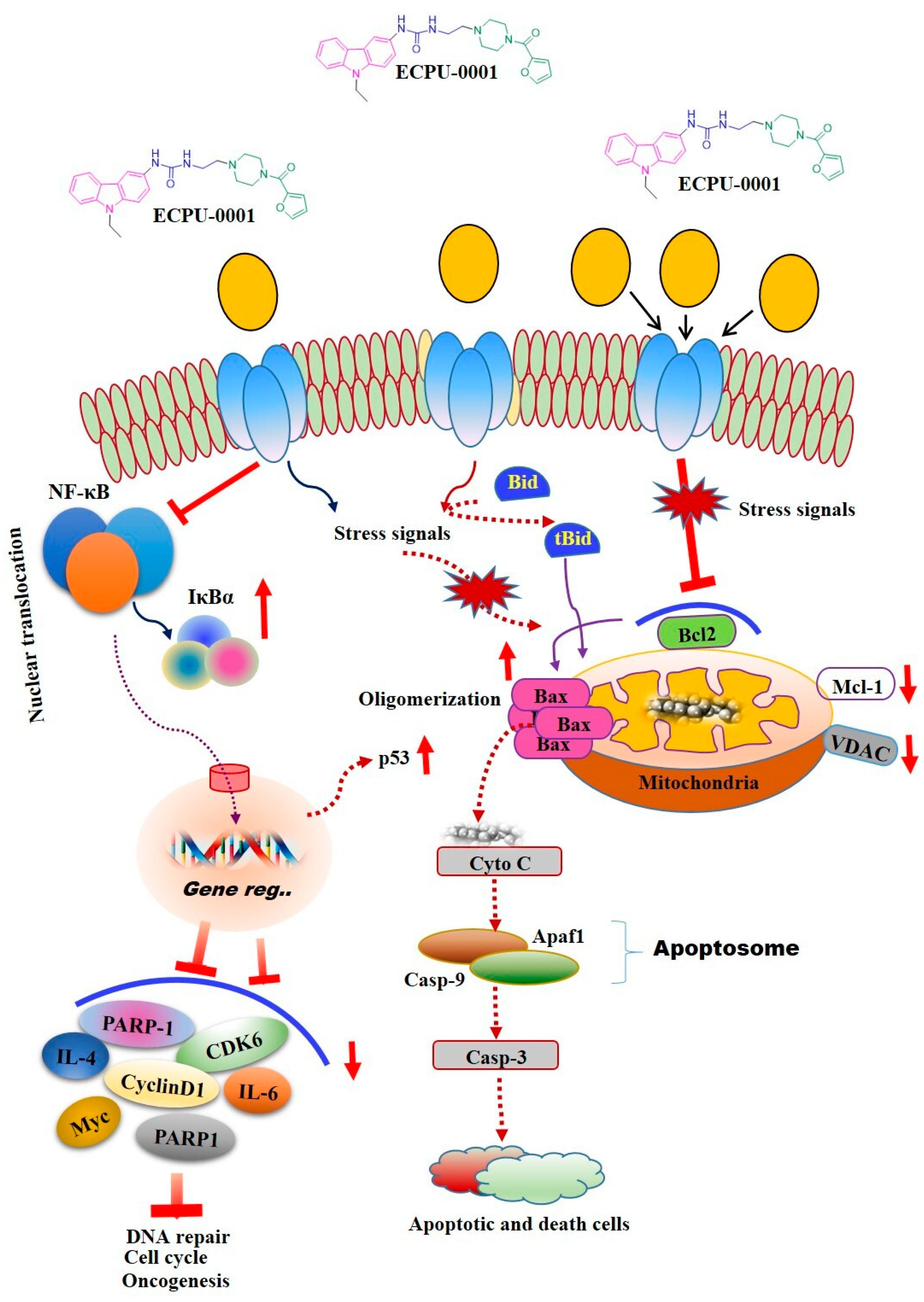 Cancers 11 01245 g008