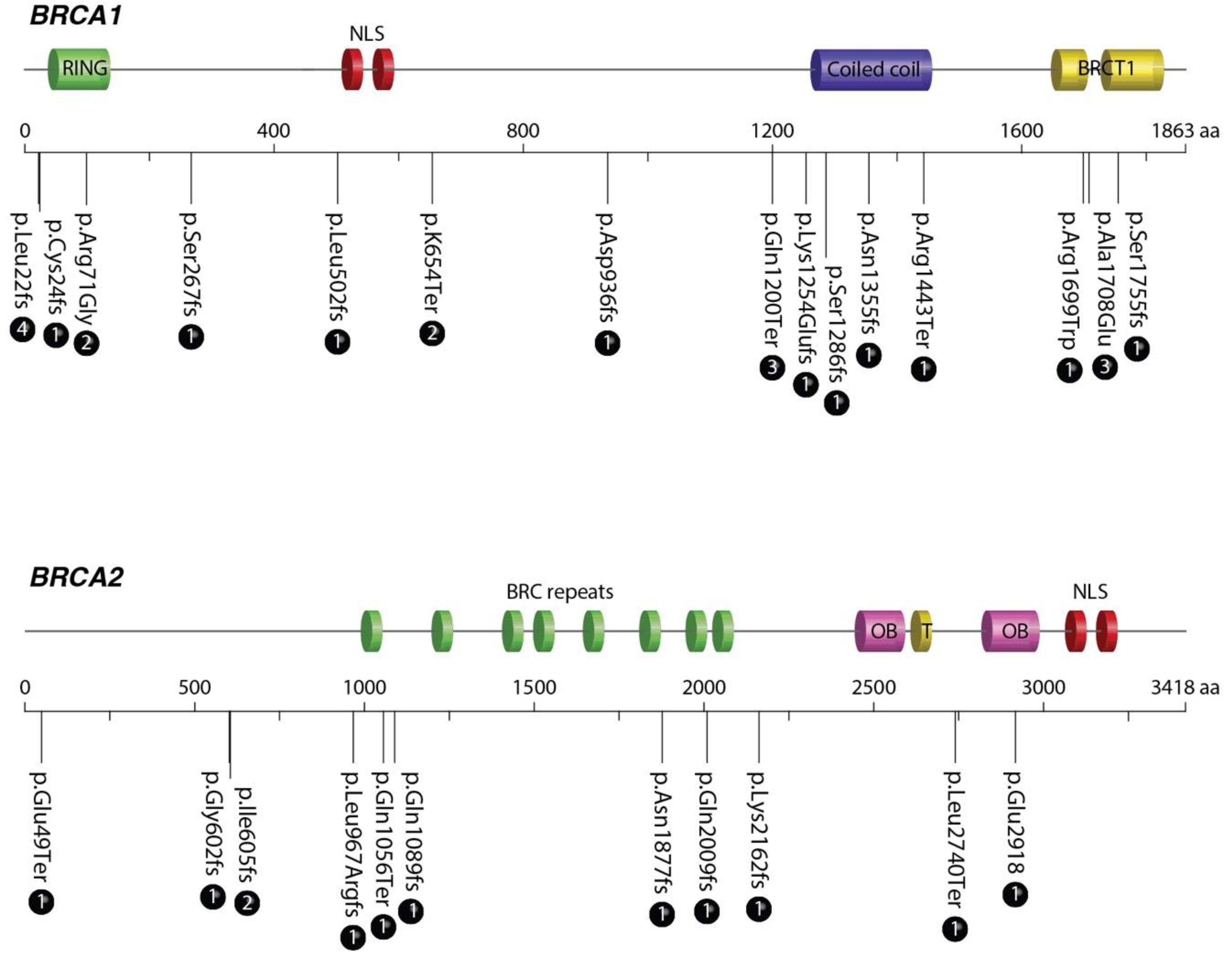 Cancers 11 01246 g001