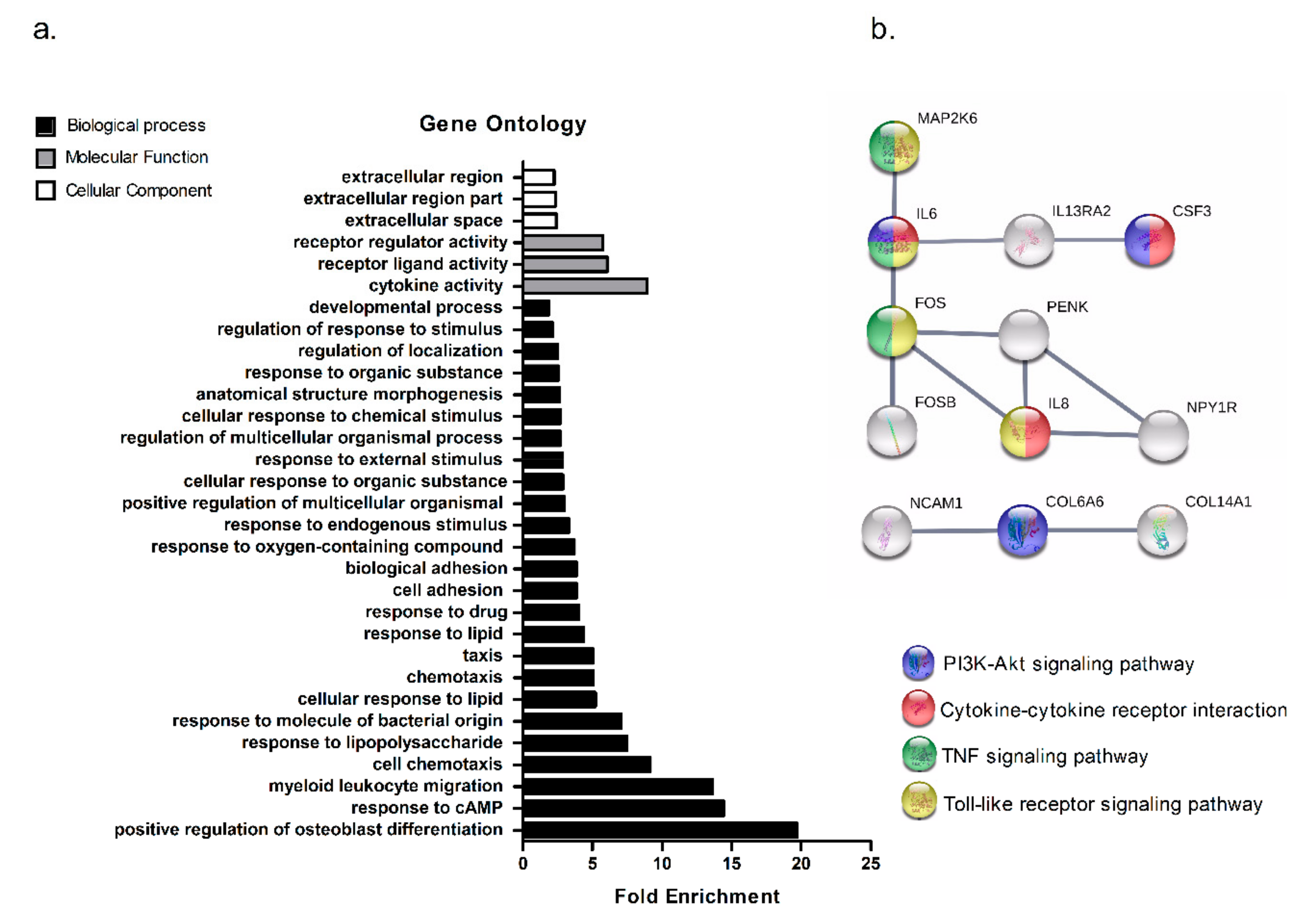 Cancers 11 01251 g003