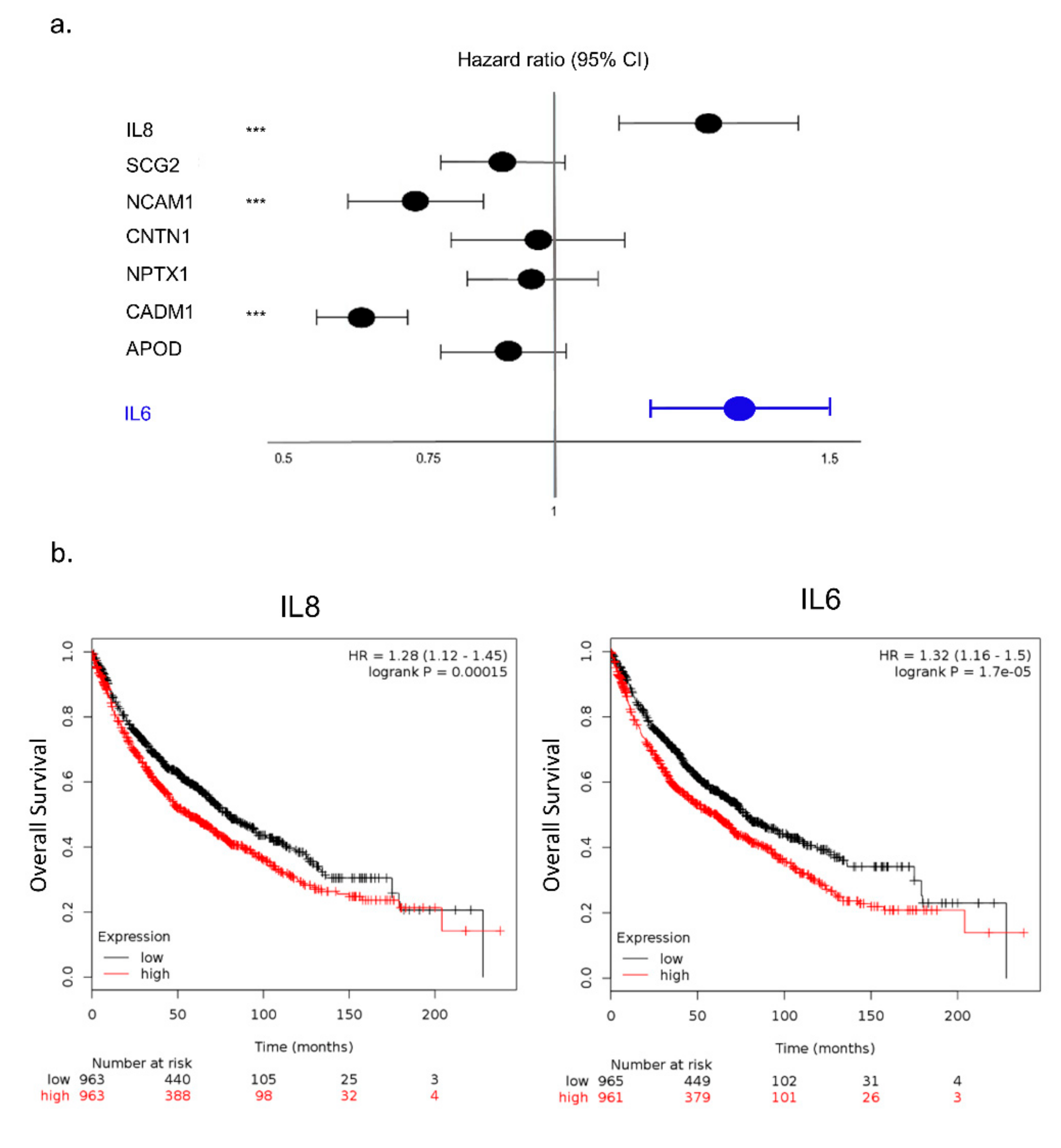 Cancers 11 01251 g005