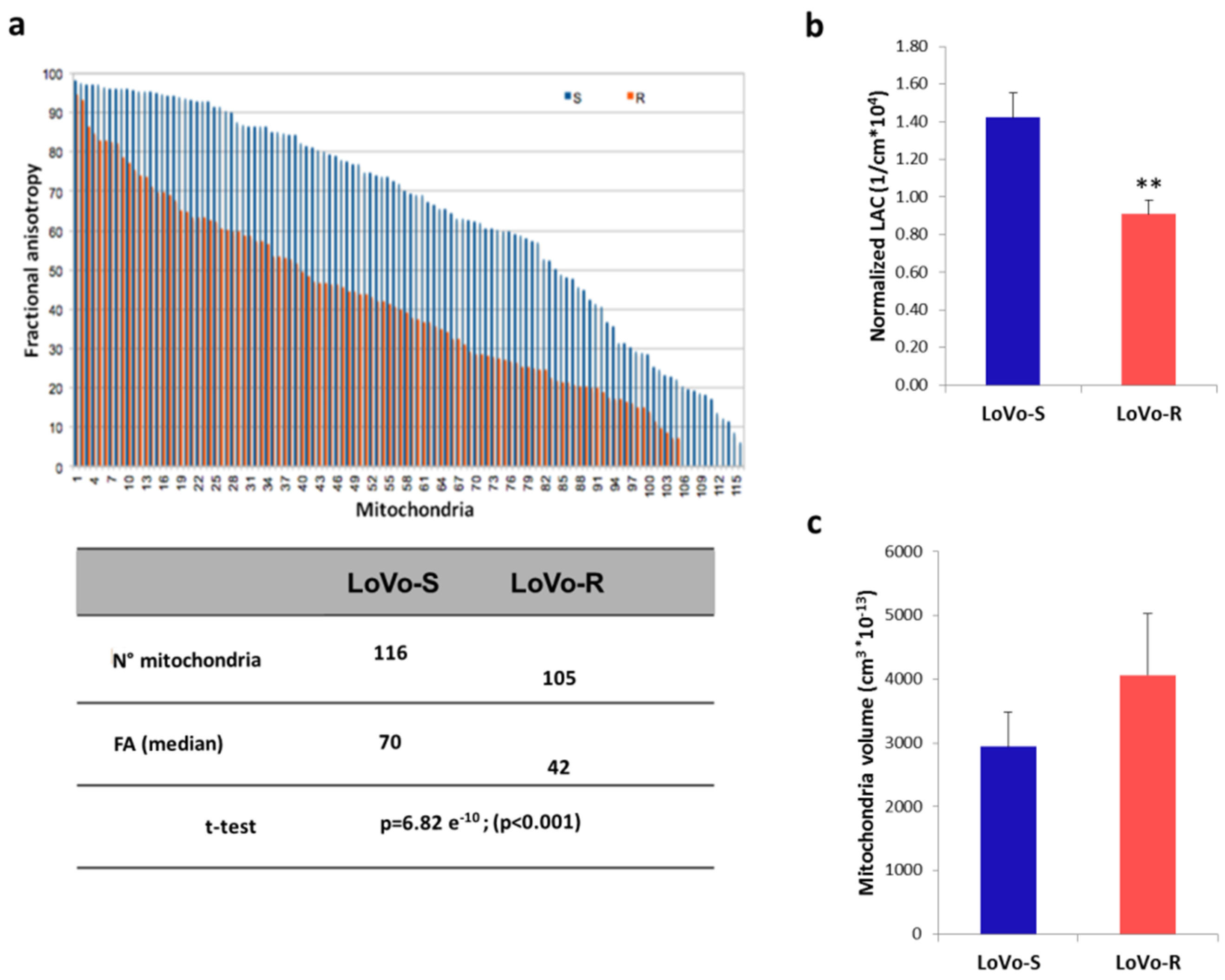 Cancers 11 01254 g004
