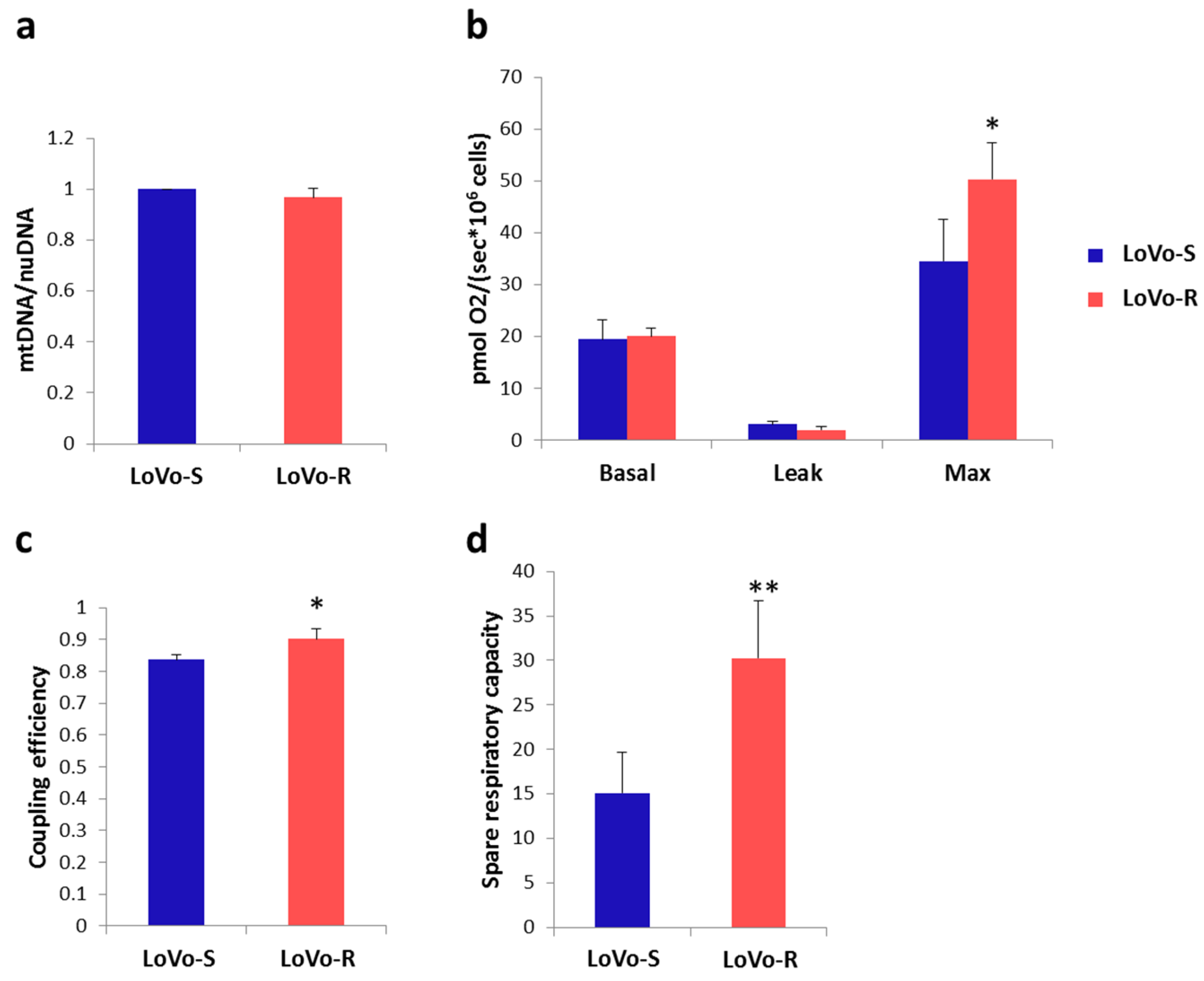 Cancers 11 01254 g005