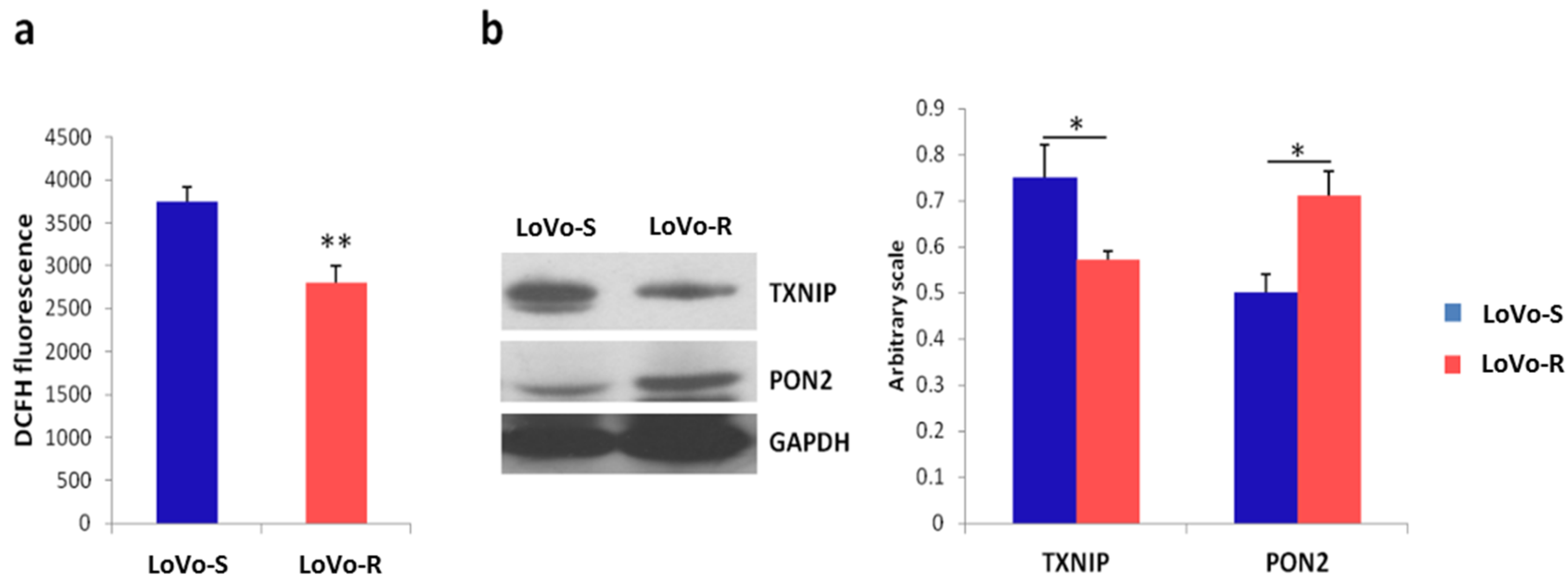 Cancers 11 01254 g006