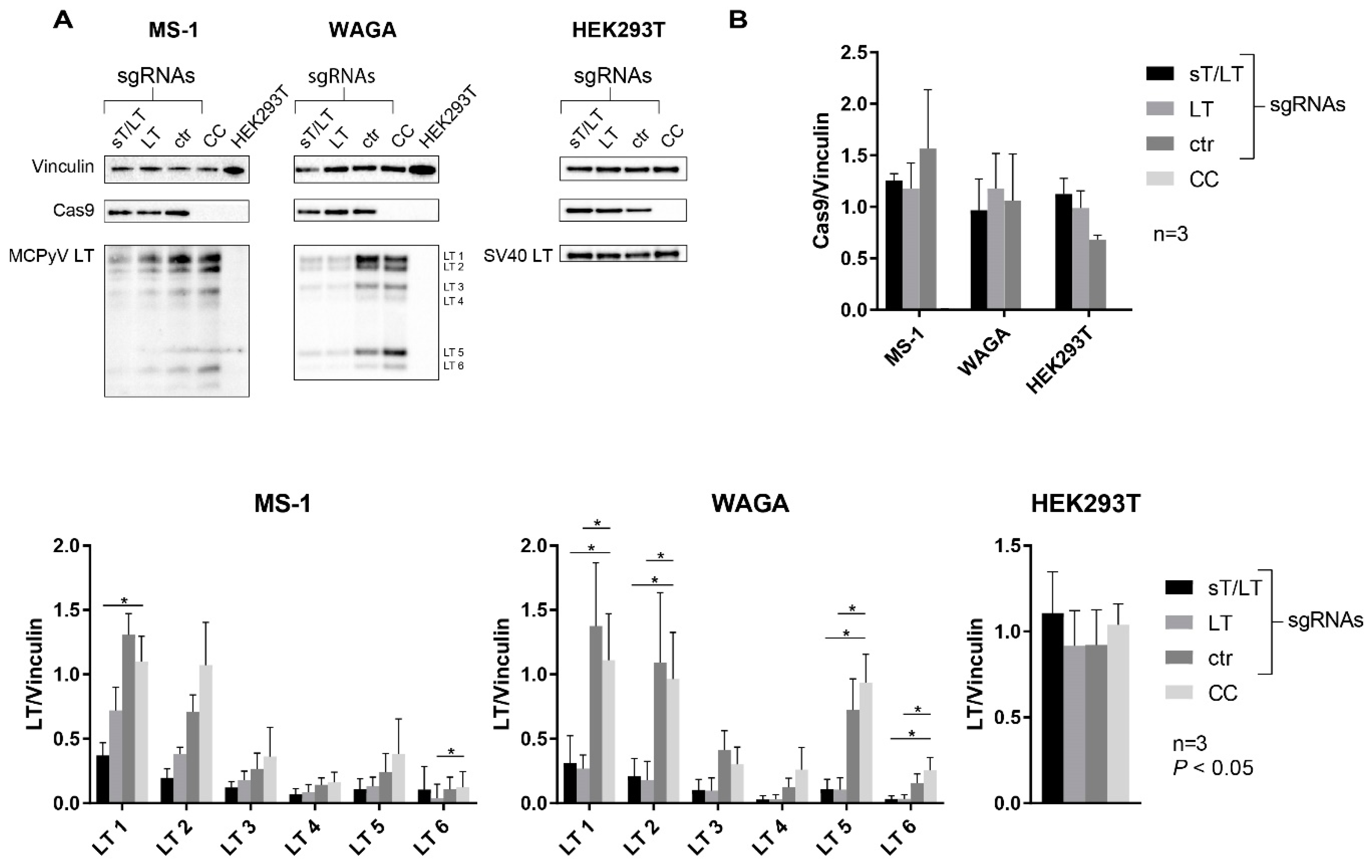 Cancers 11 01260 g003