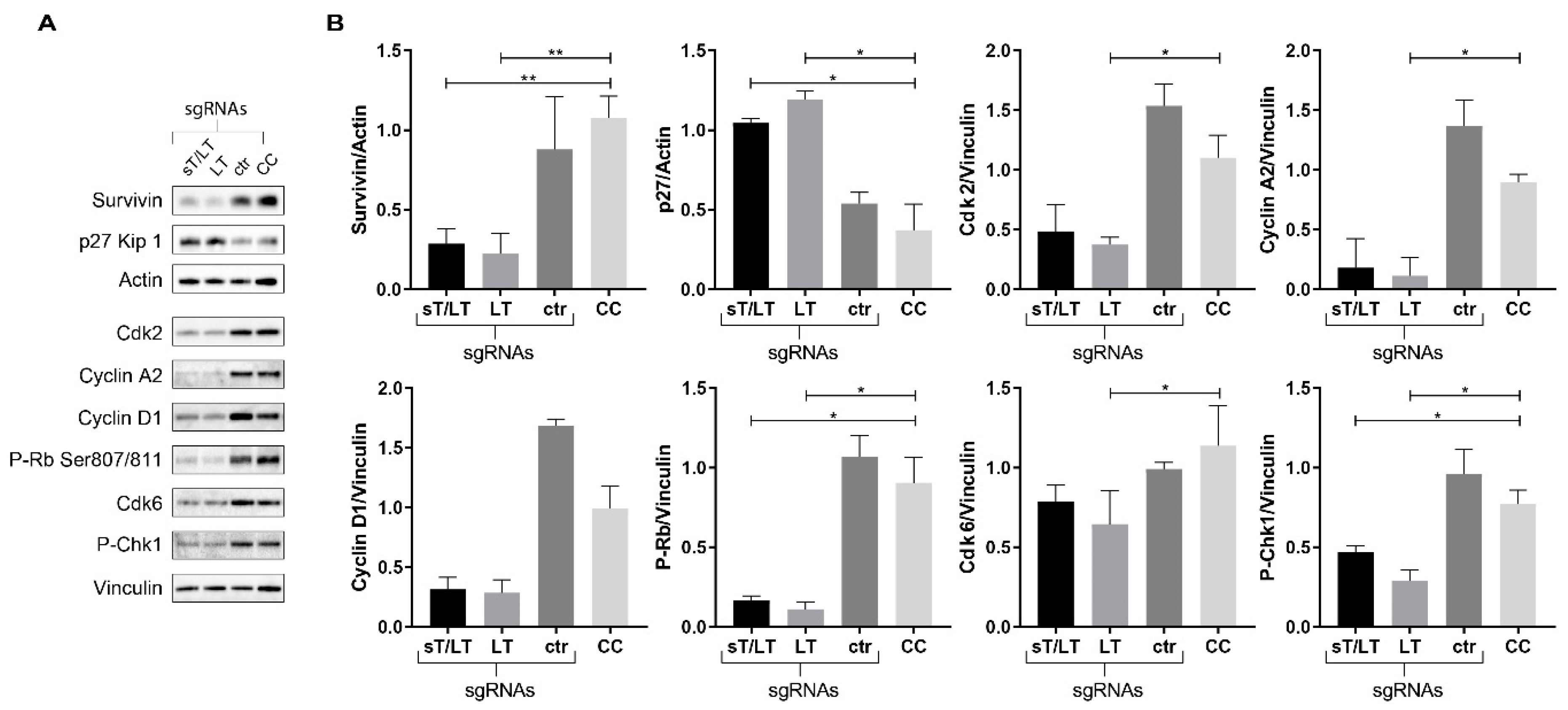 Cancers 11 01260 g006