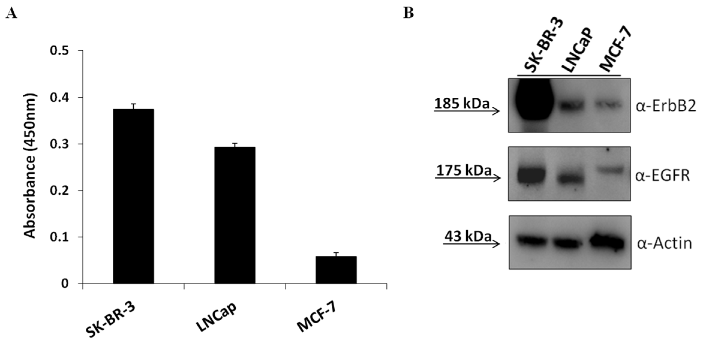 Cancers 11 01268 g002