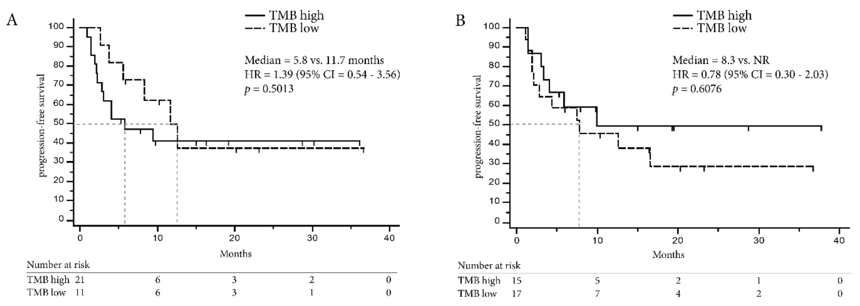 Cancers 11 01271 g006 Cancers 11 01271 g006