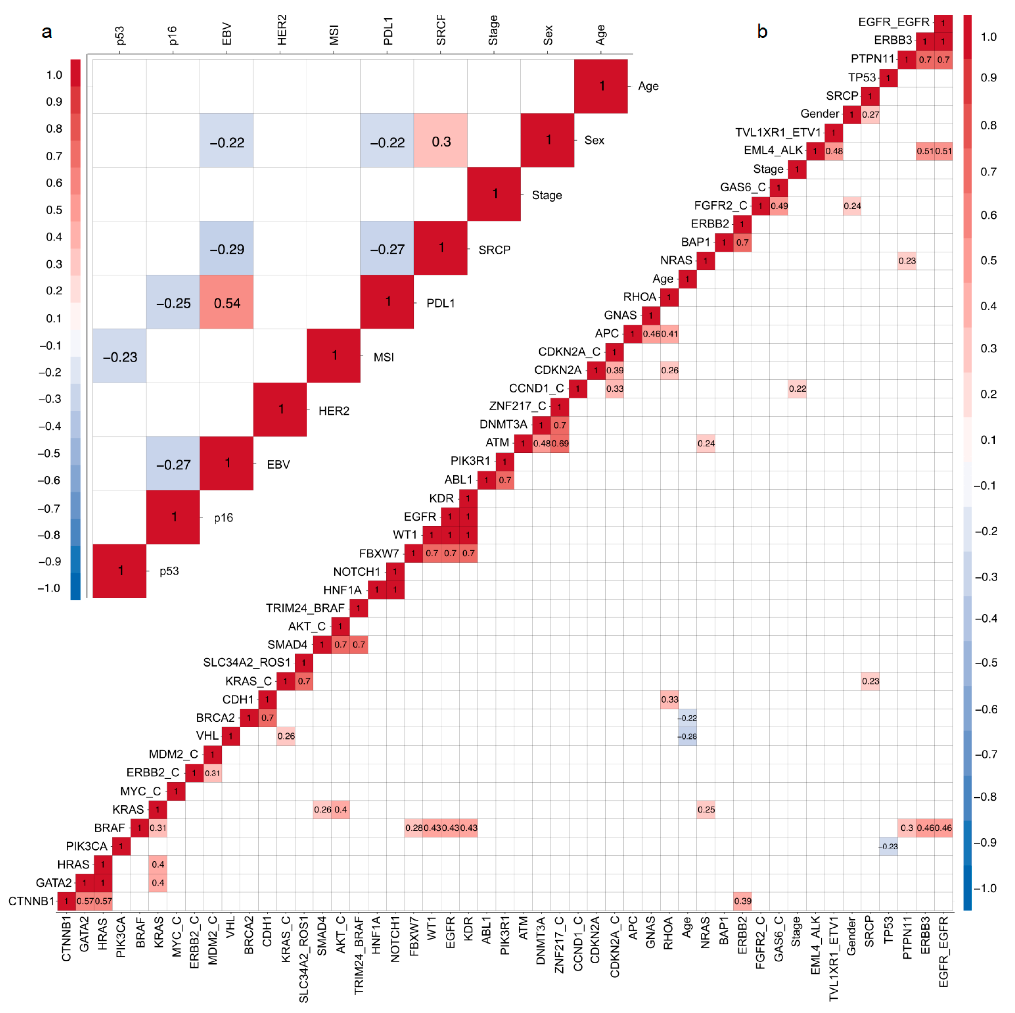 Cancers 11 01275 g003
