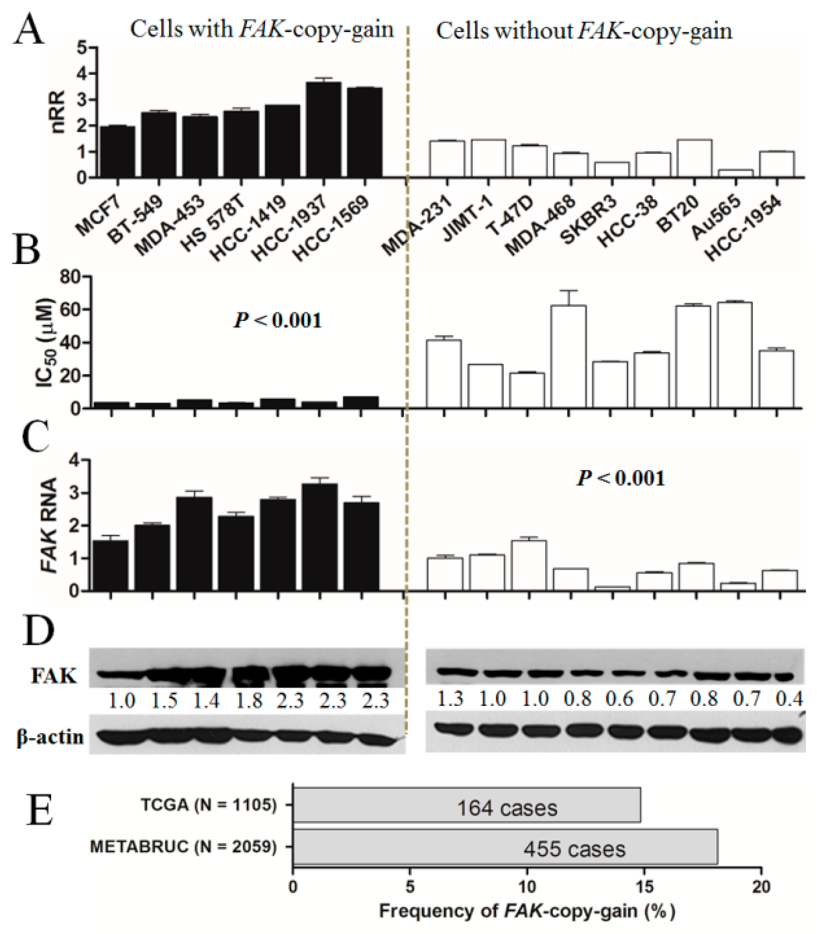 Cancers 11 01288 g002