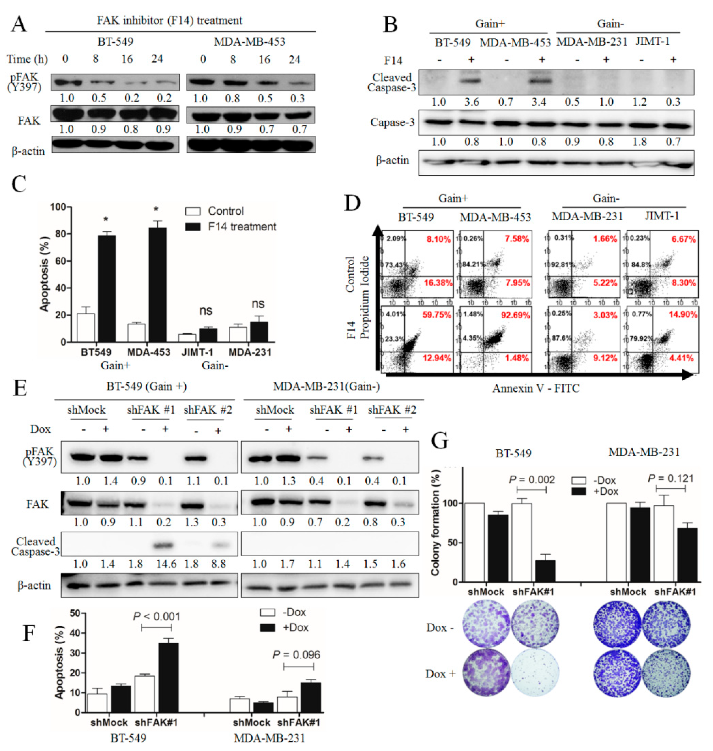 Cancers 11 01288 g003
